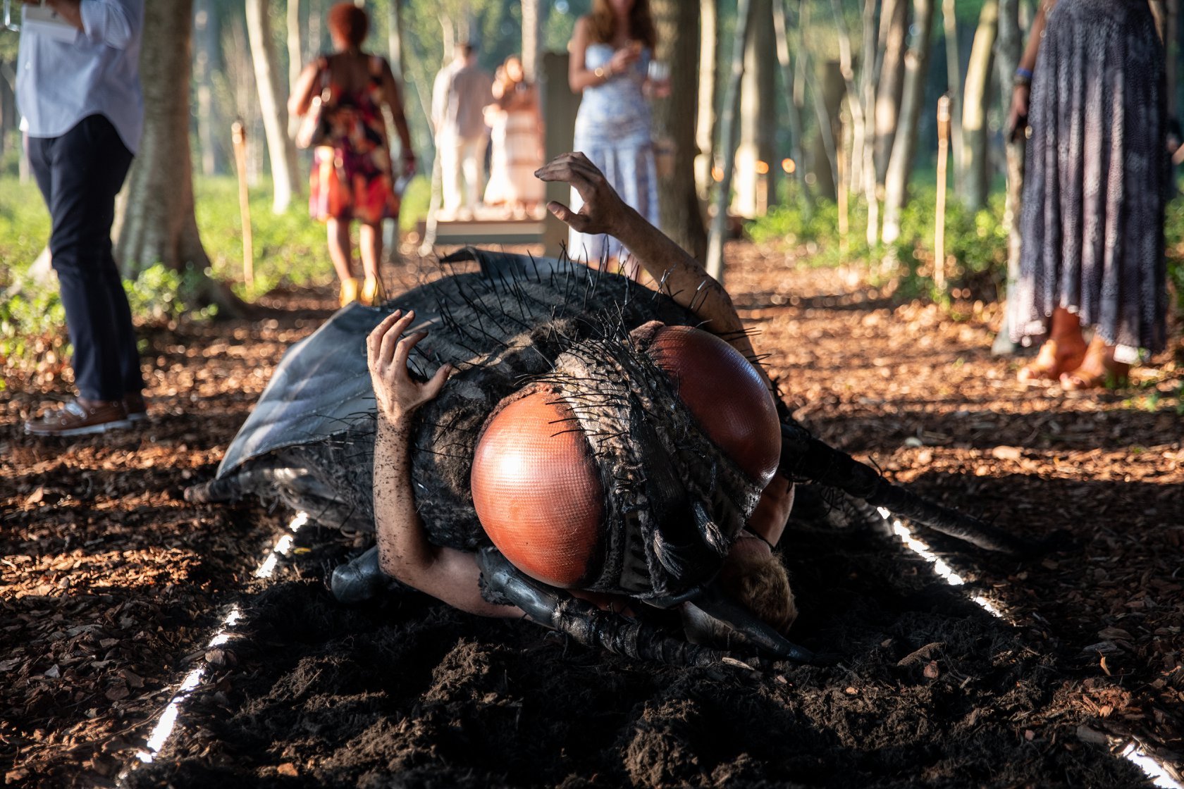 Creative DIrection/ Funeral for a Fly