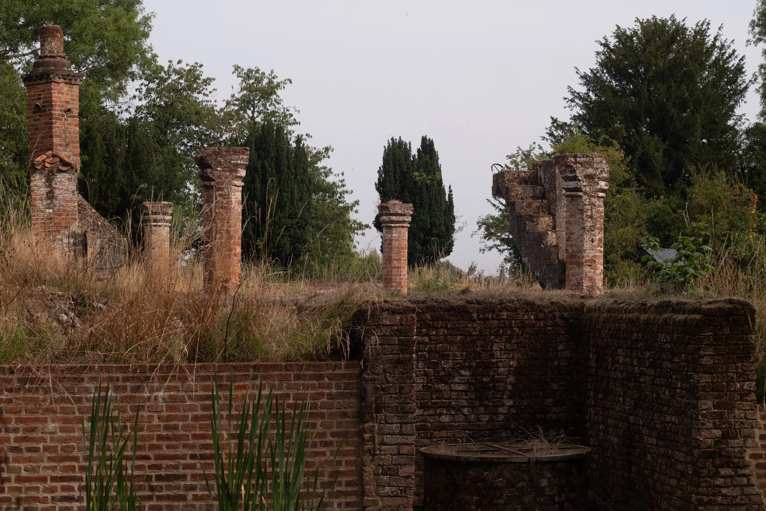 DSCF5159.jpg