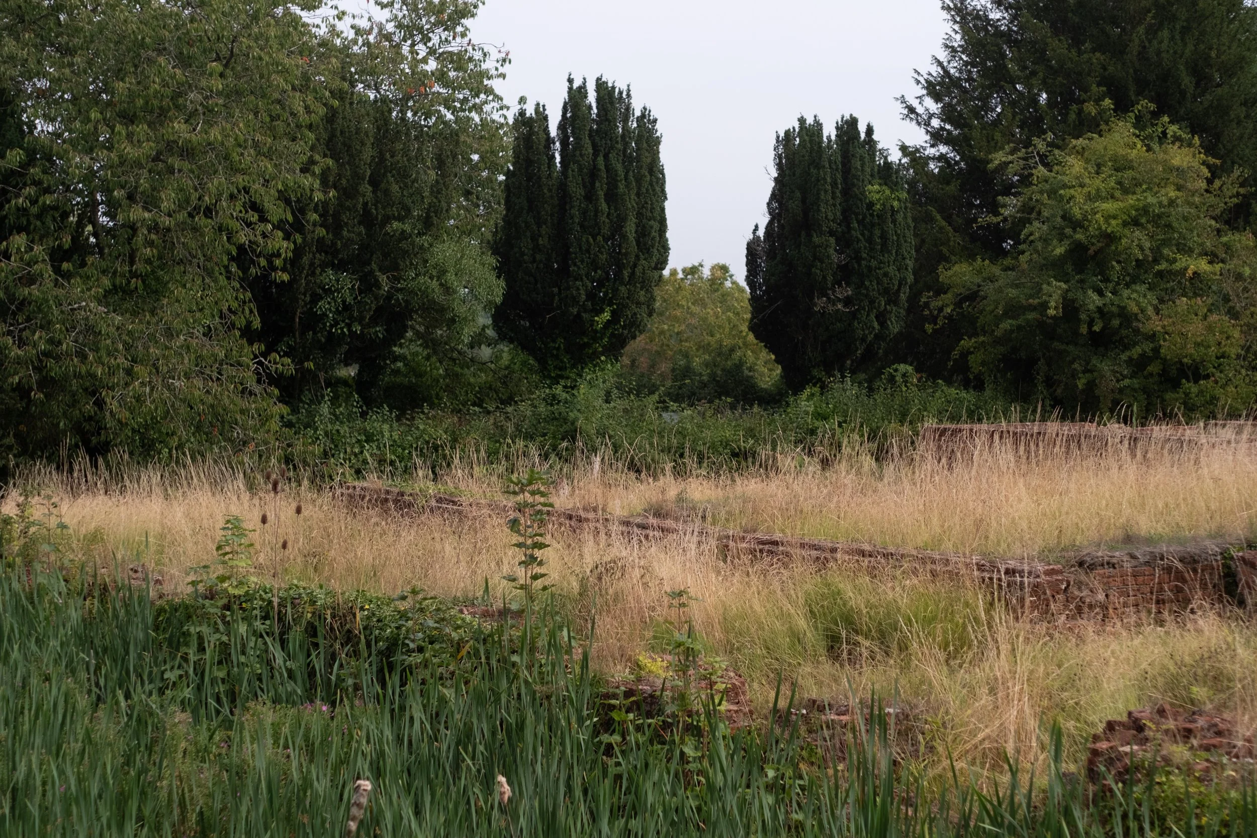 DSCF5162.jpg
