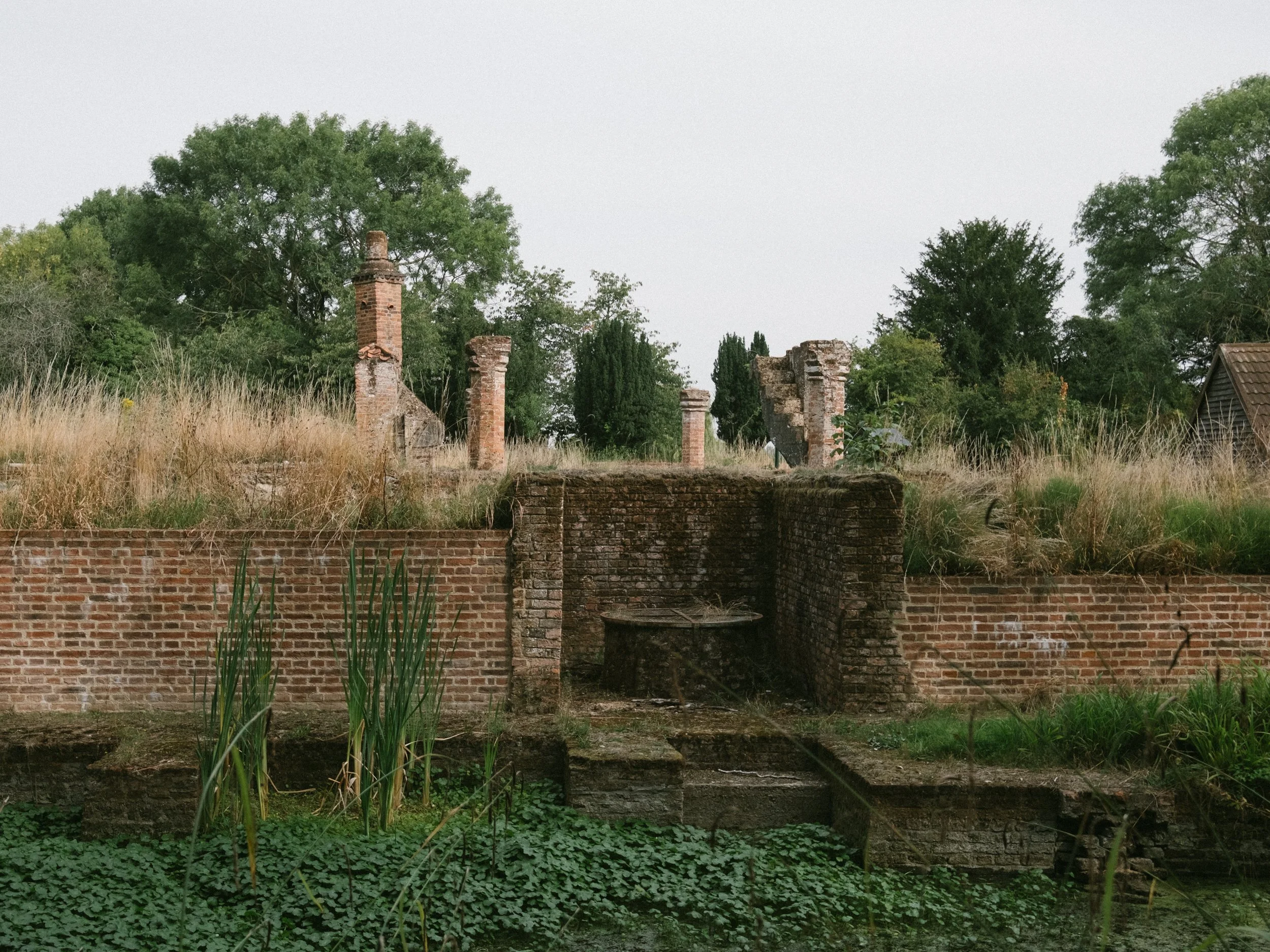 DSCF8687.jpg