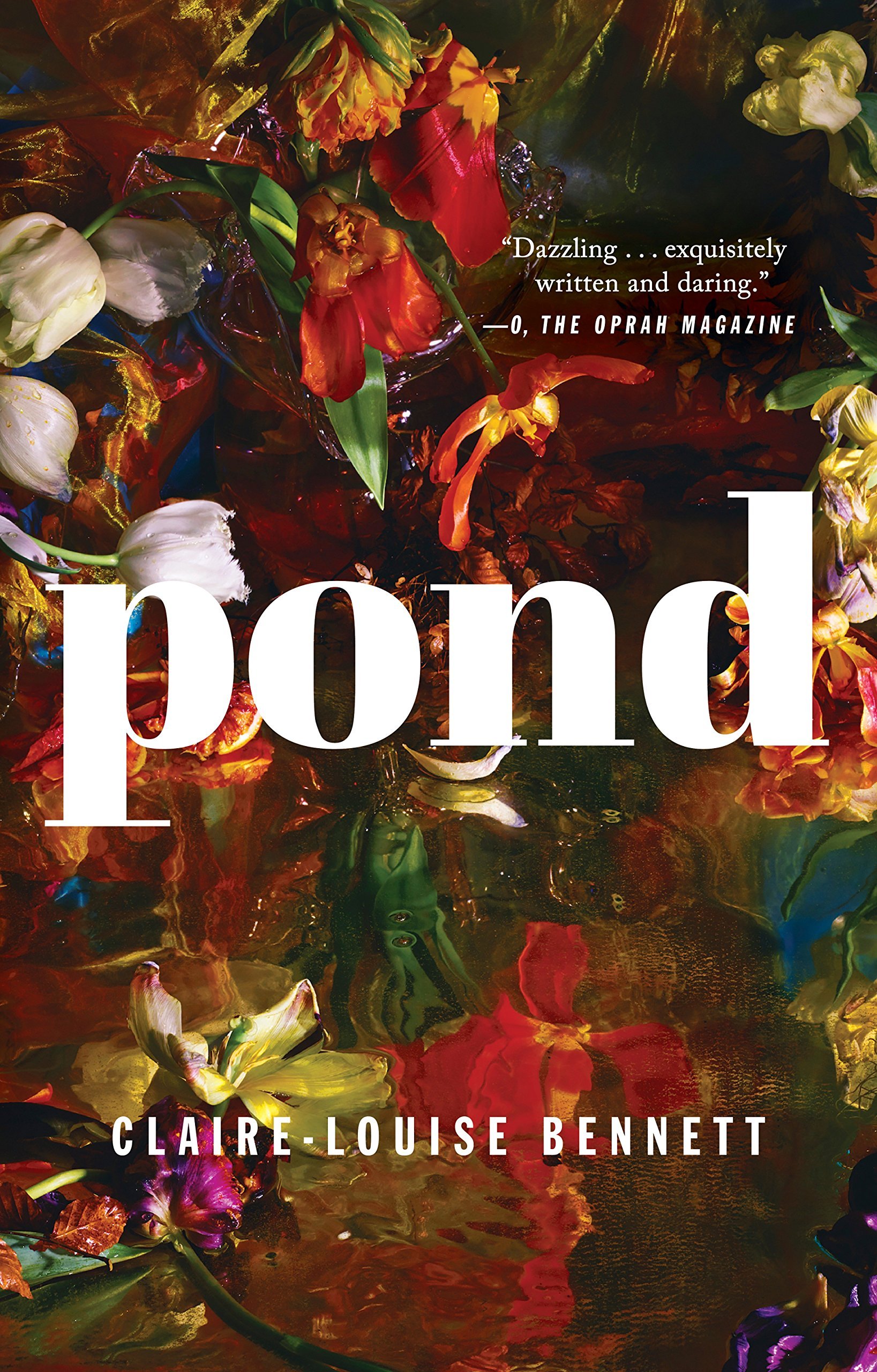   Pond  by Claire-Louise Bennett 