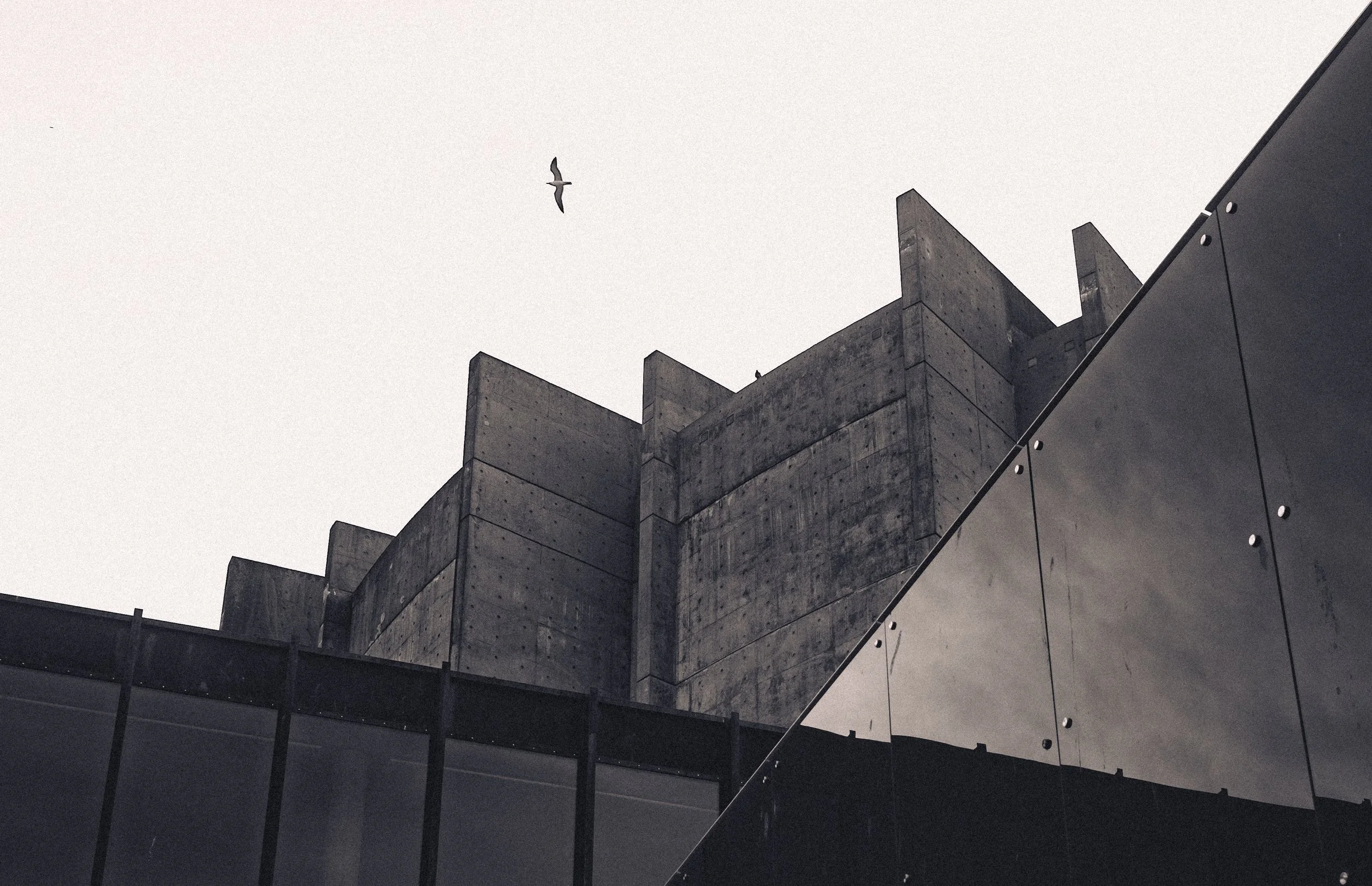 Grig hallen + fugl 1 (1 of 1).jpg