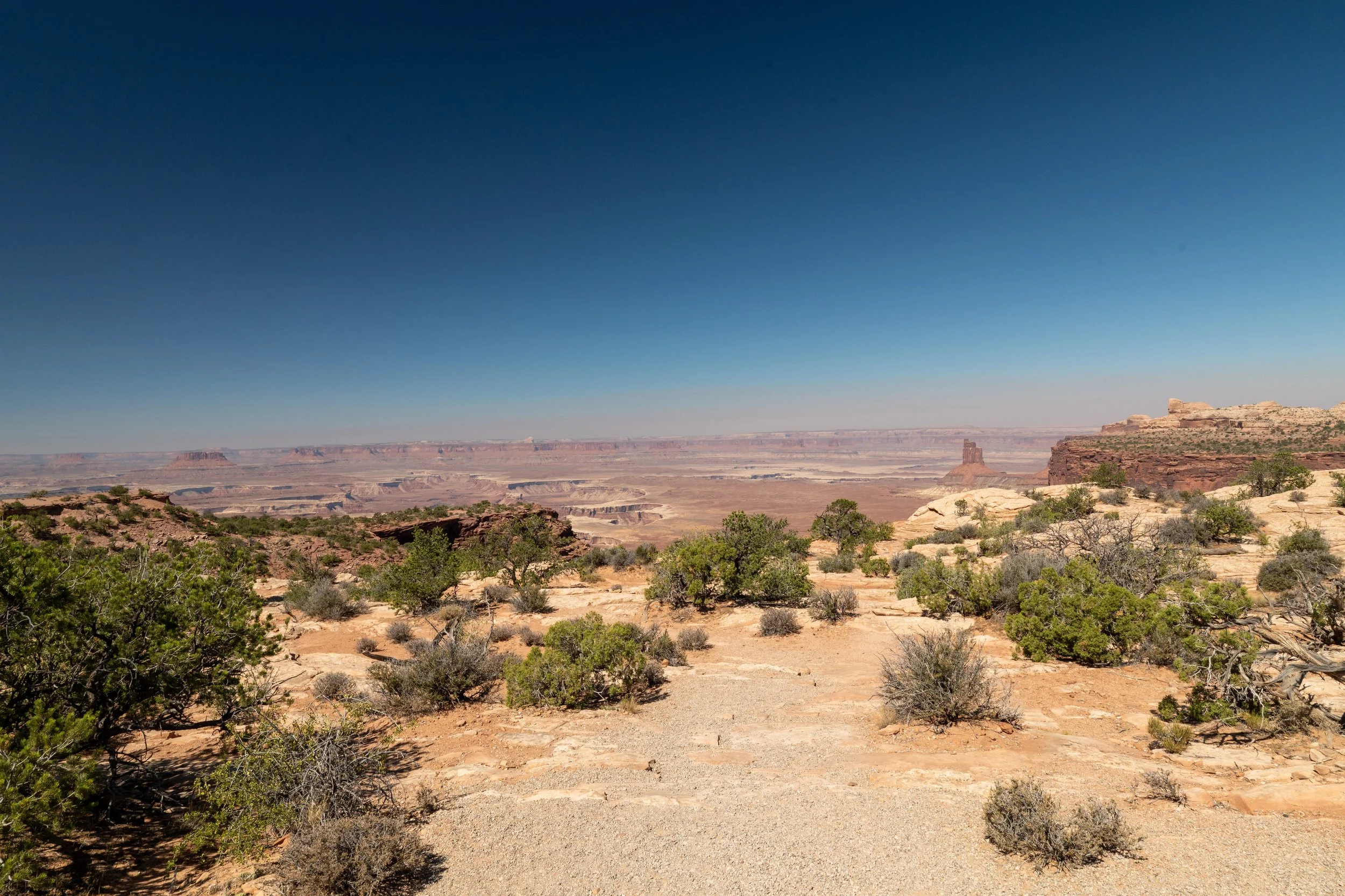 A7401858 copy.jpg
