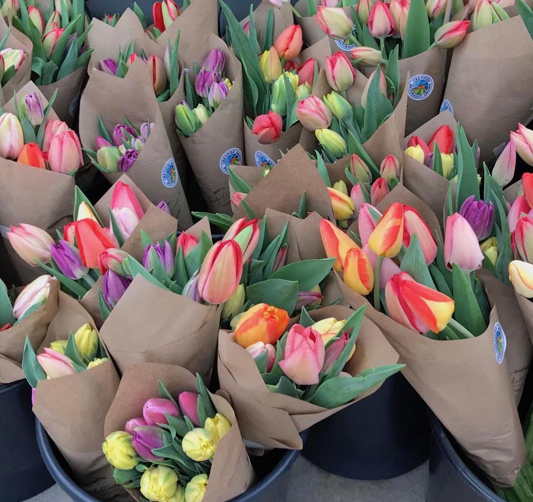 Flowerfield farmstead flower farm tulips kalamazoo