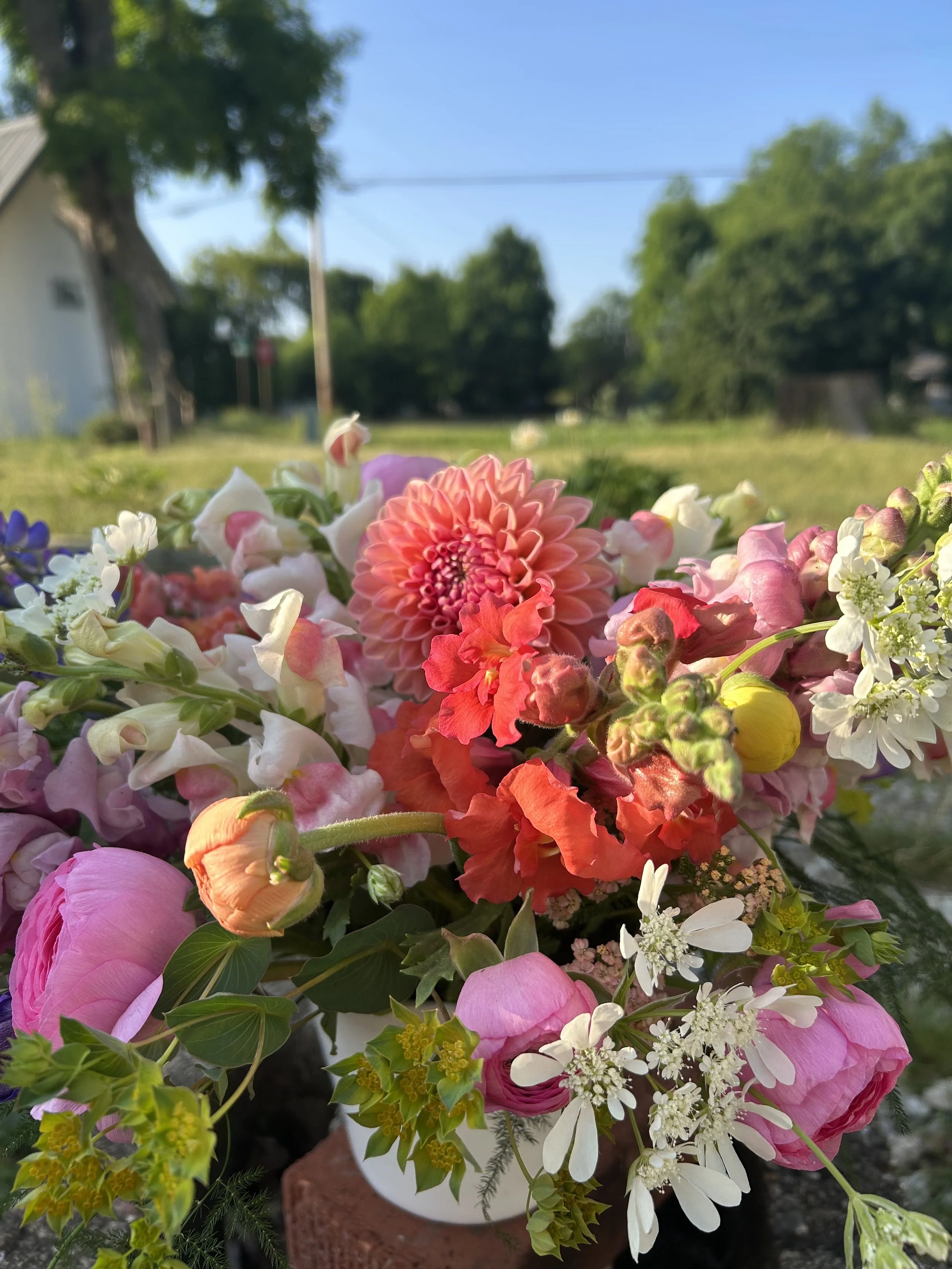 Seasonal Arrangement (**delivery fee included in total**)