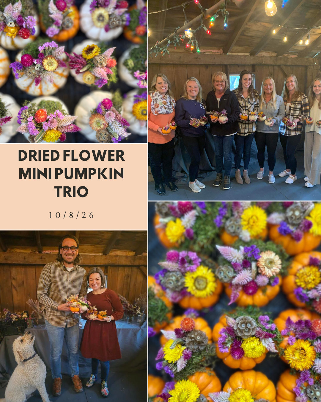 Mini Dried Flower Pumpkin Trio! 10/8/26 6-8pm