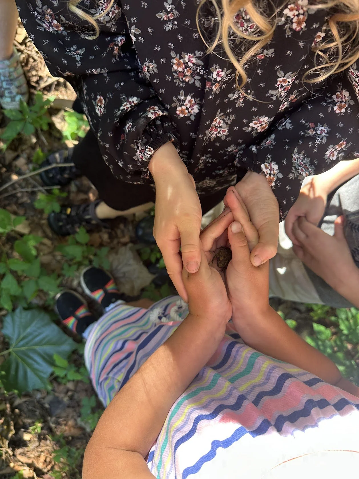 Head, Heart, and Hands Homeschool Teacher Workshop - Friday 8/21 12-4pm -