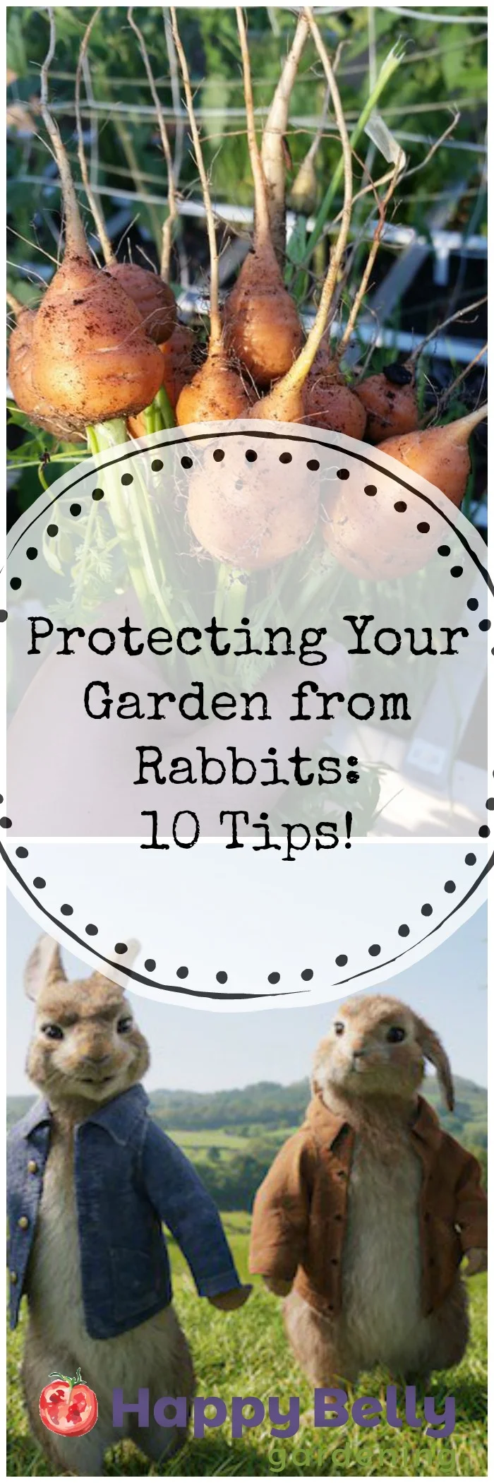 Protecting Your Garden from Rabbits - 10 tips.jpg