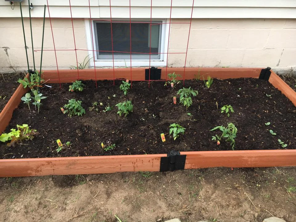 Garden just planted.jpg