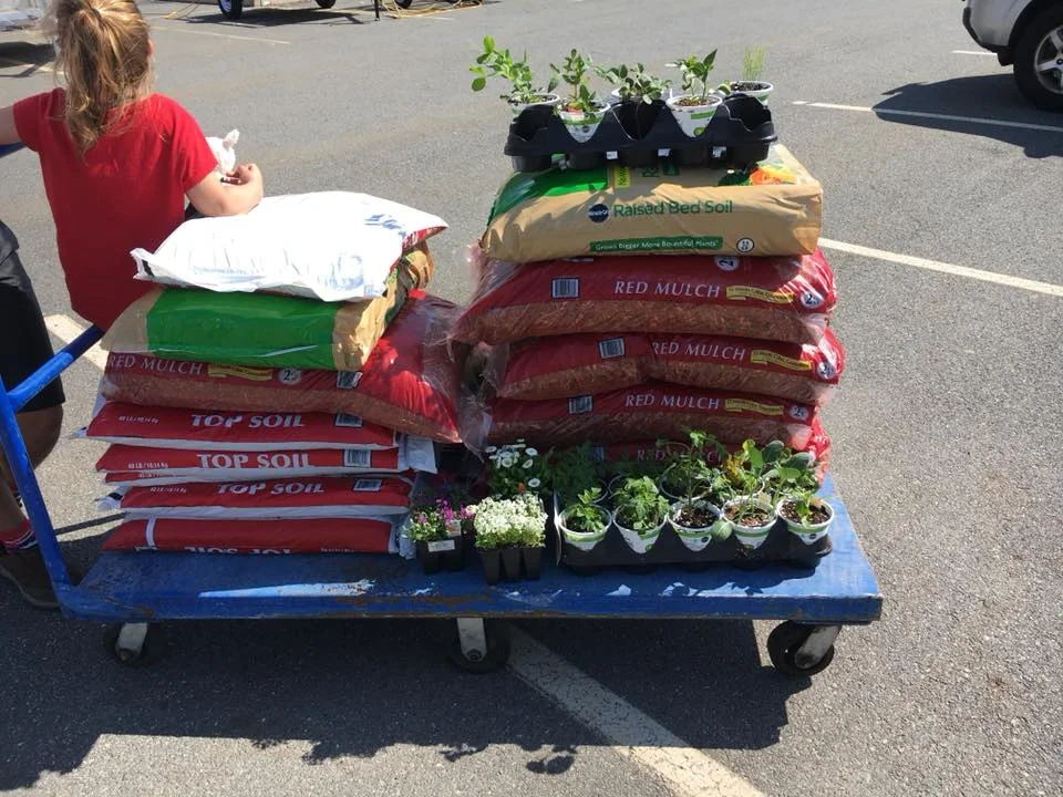 shopping for garden.jpg