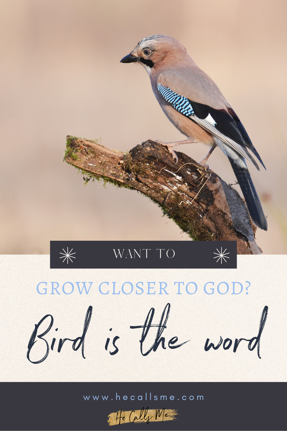 Want to know God's heart? Bird is the word!
