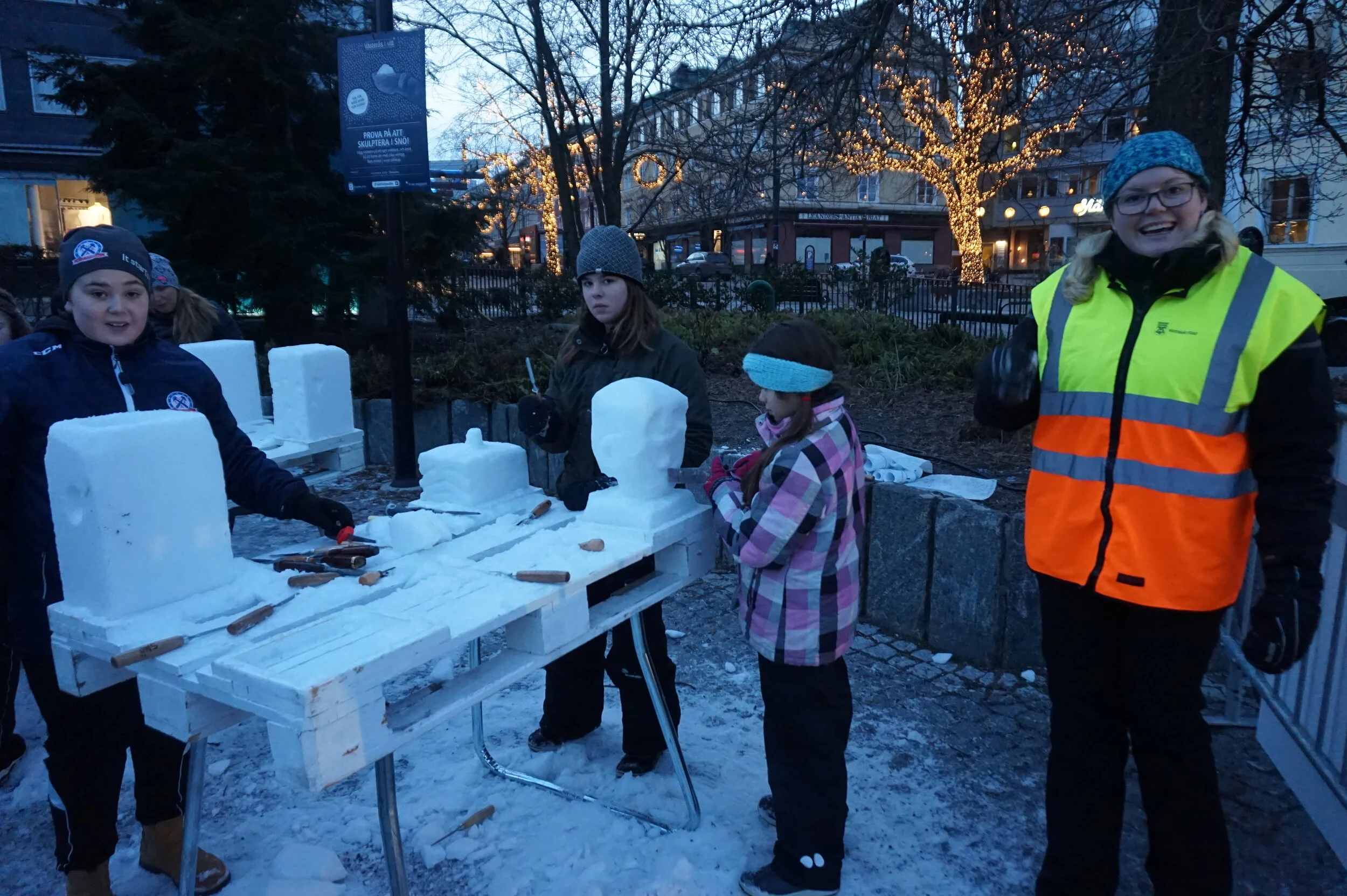 ElLIN JULIN HANDLEDARE