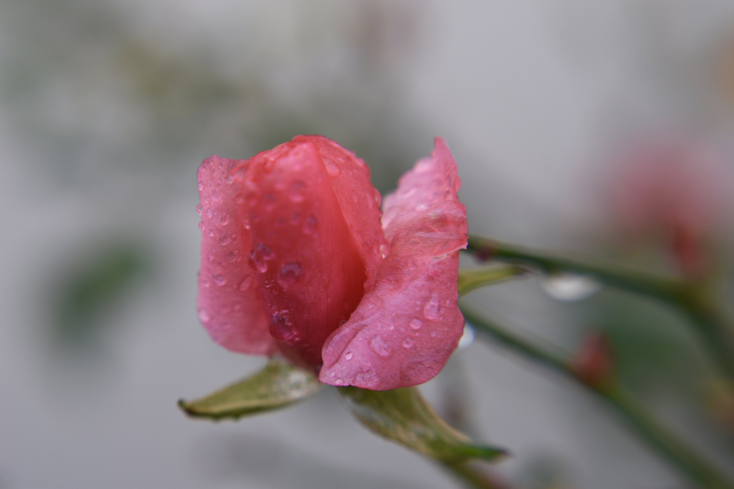 What Feeds Your Soul?