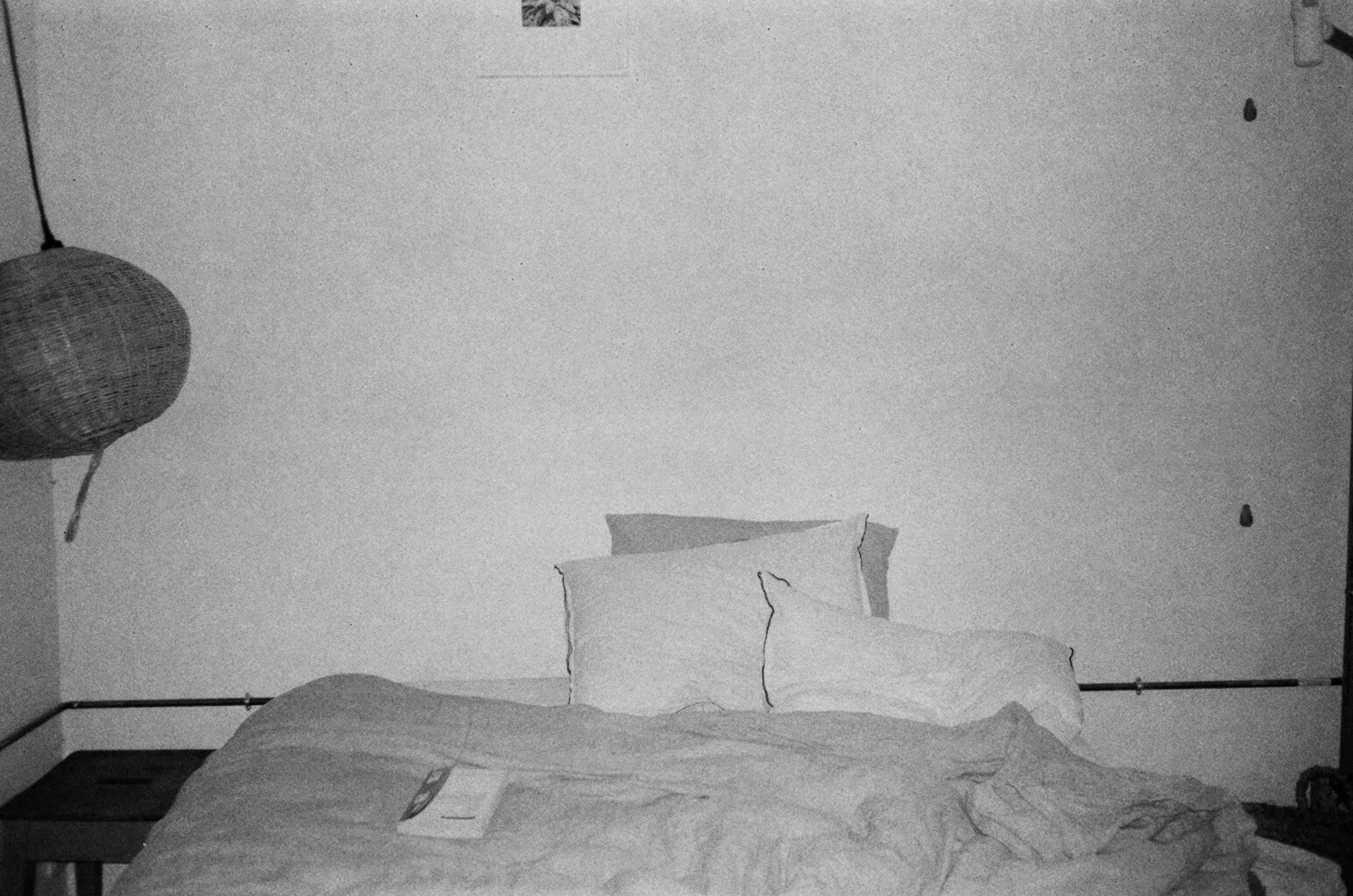 0002_1A.jpg
