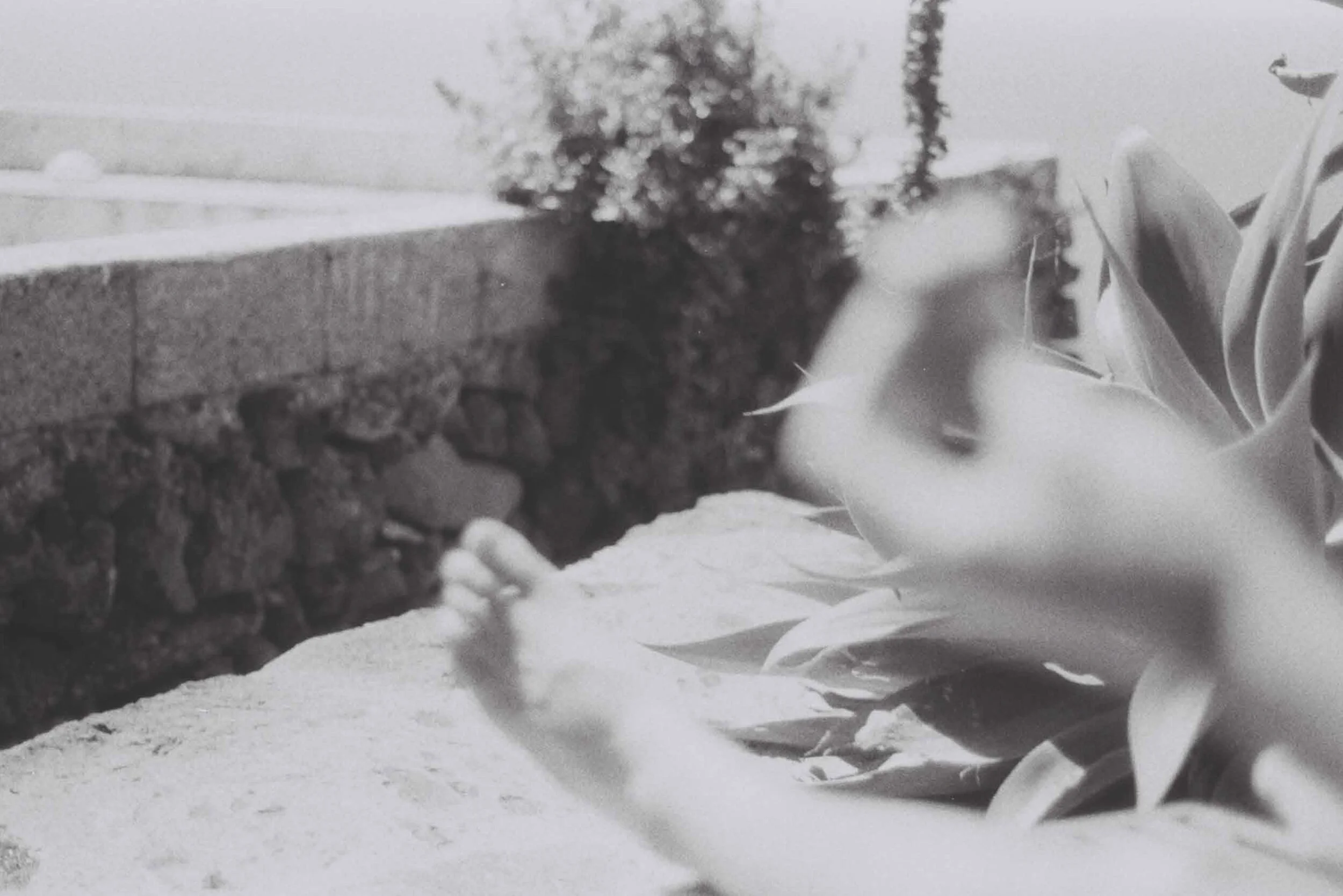 Desolation_Fina-page 3 .jpg