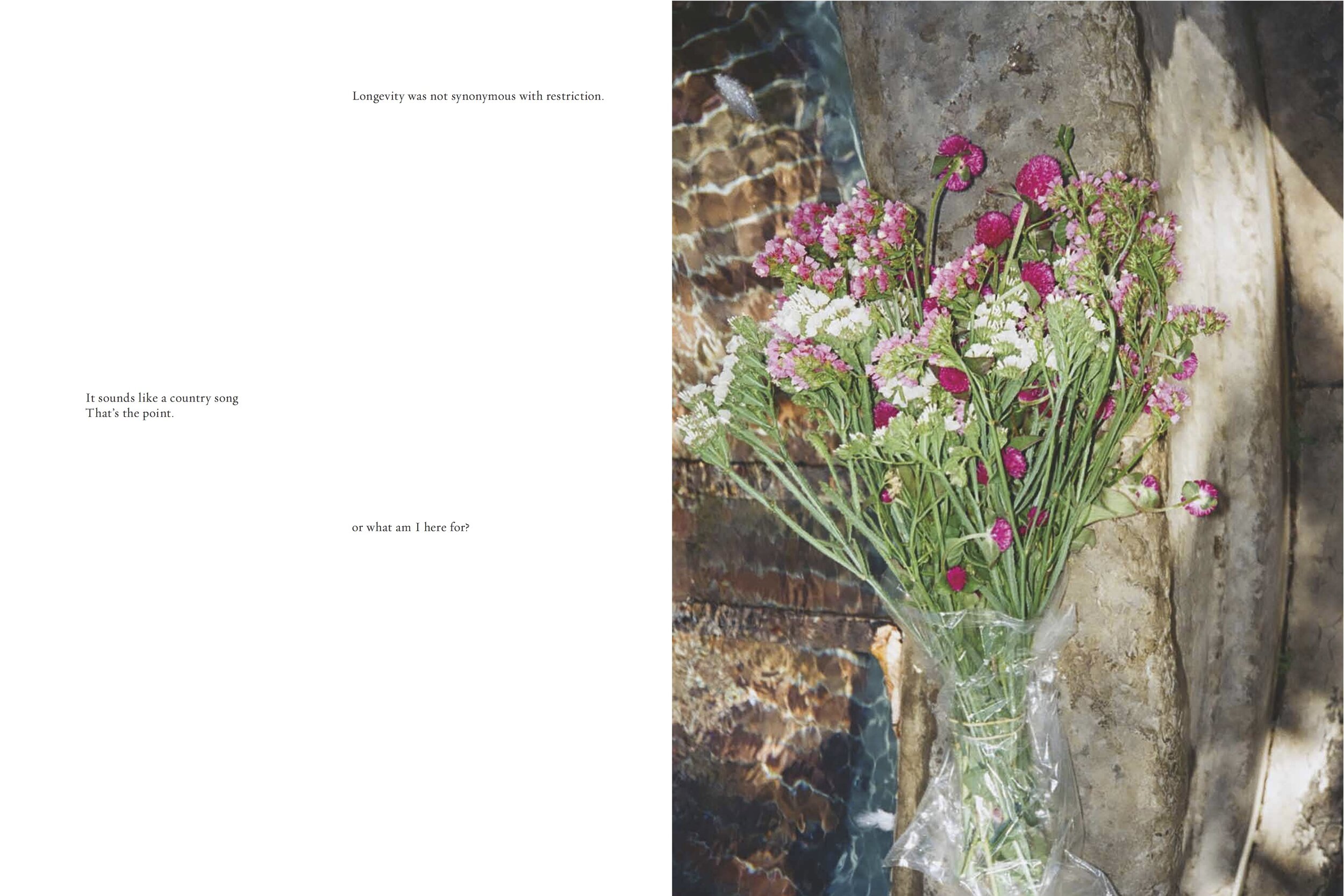 Desolation_Final_page 25 .jpg