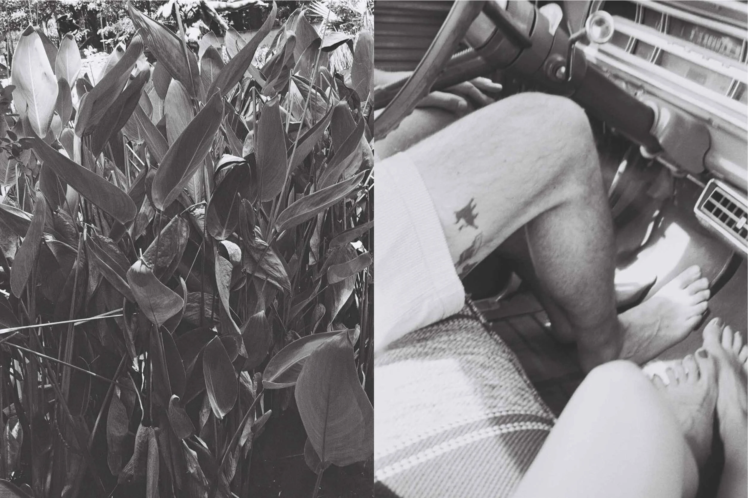 Desolation_Final_page 26 .jpg