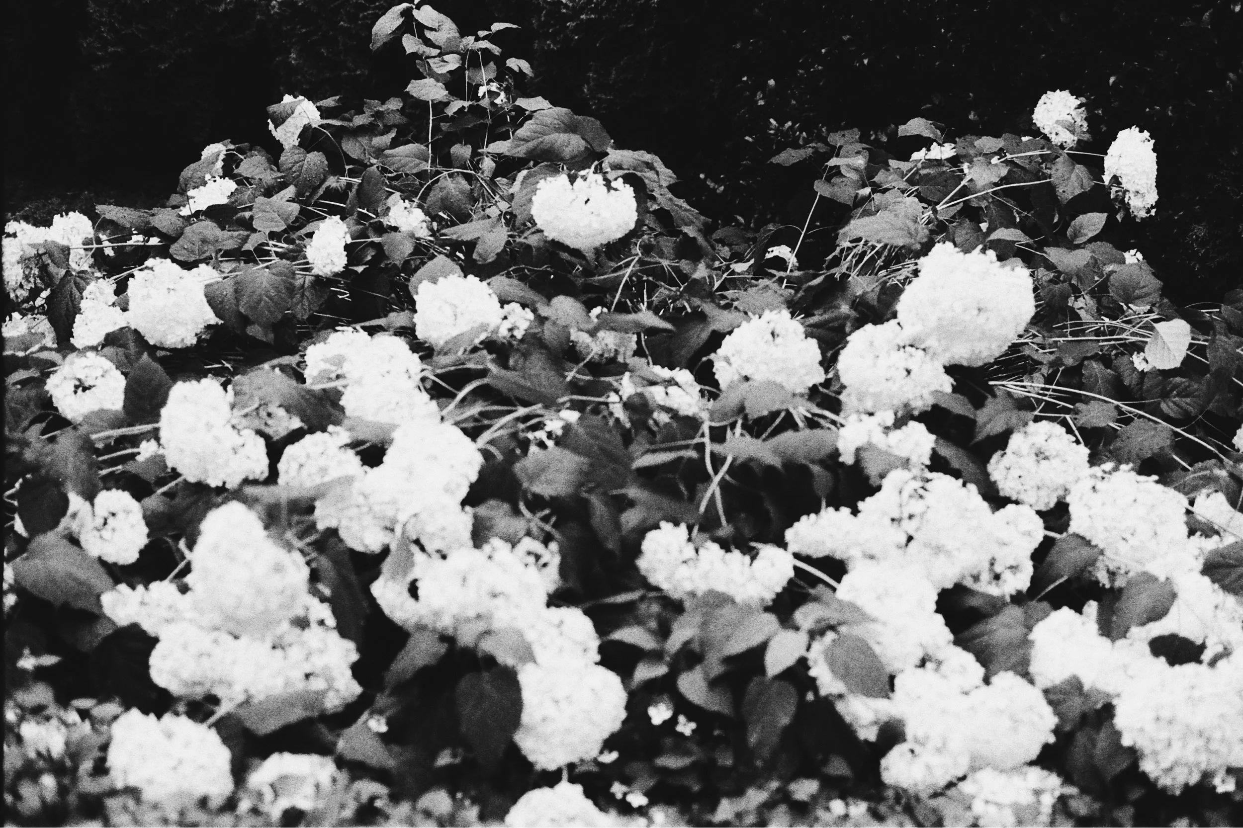 000014970022_VSCO.JPG