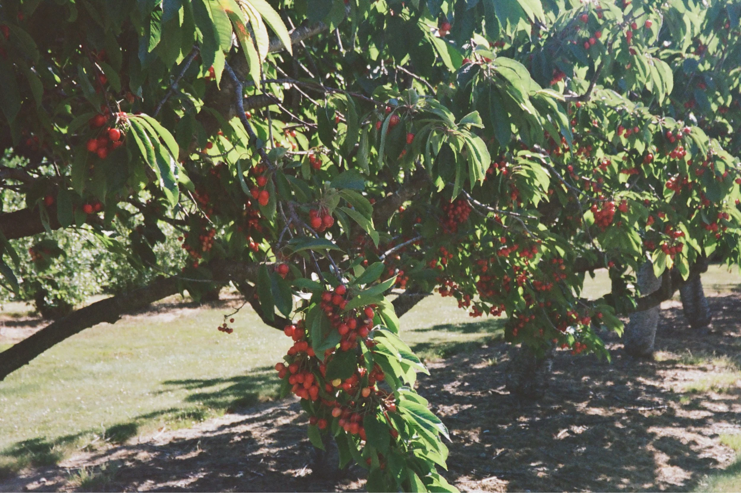 000018320021_VSCO.JPG