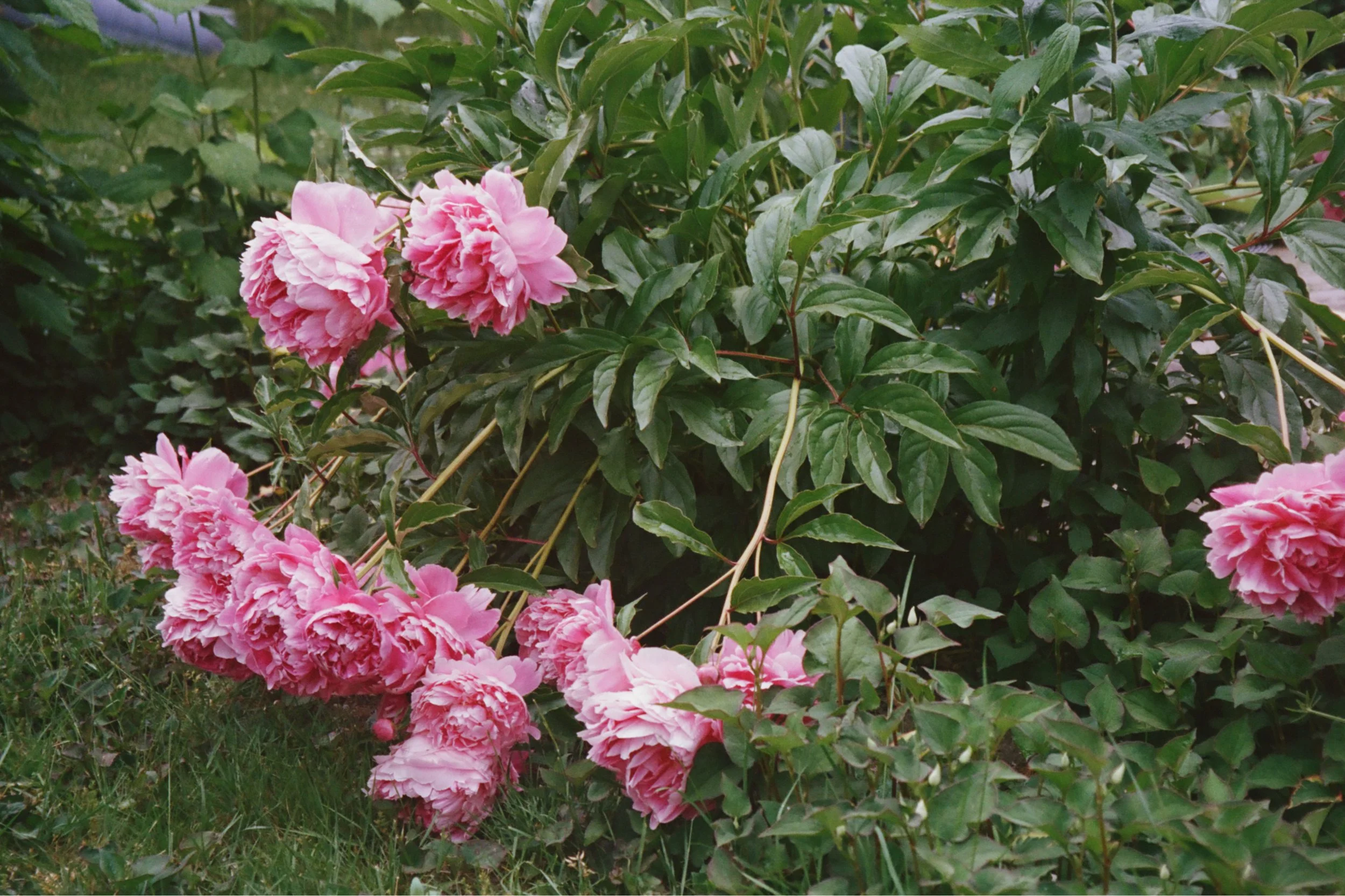 000018320005_VSCO.JPG