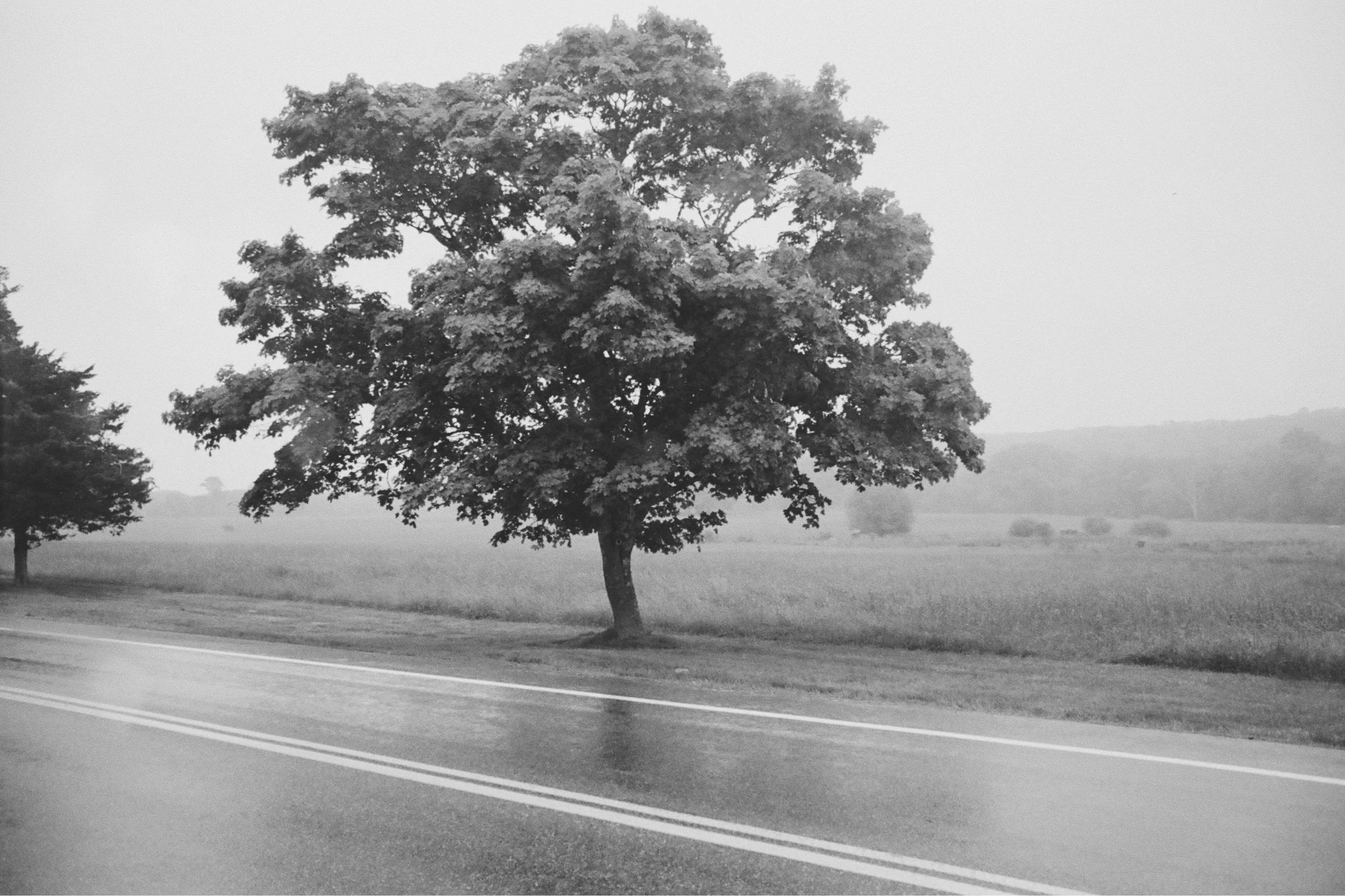 000010780028_VSCO 2.JPG