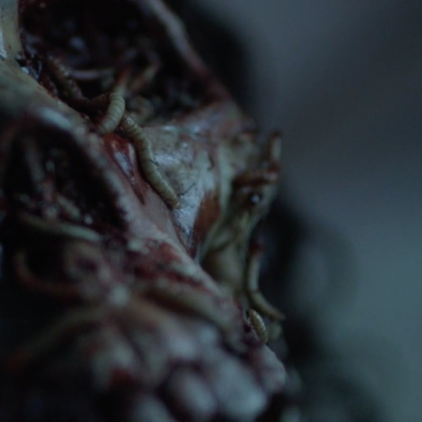 Zombie_worms_preview.jpeg