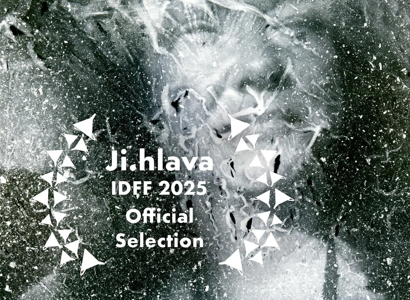 On my way to the beautiful @jihlava_idff to represent my Movie -A Venture into Vegan Filmmakiing (2020)-

Screenings are 
Saturday 25.10.2025 at DIOD
Sunday 2.11.2025 at Kino Dukla- Edison