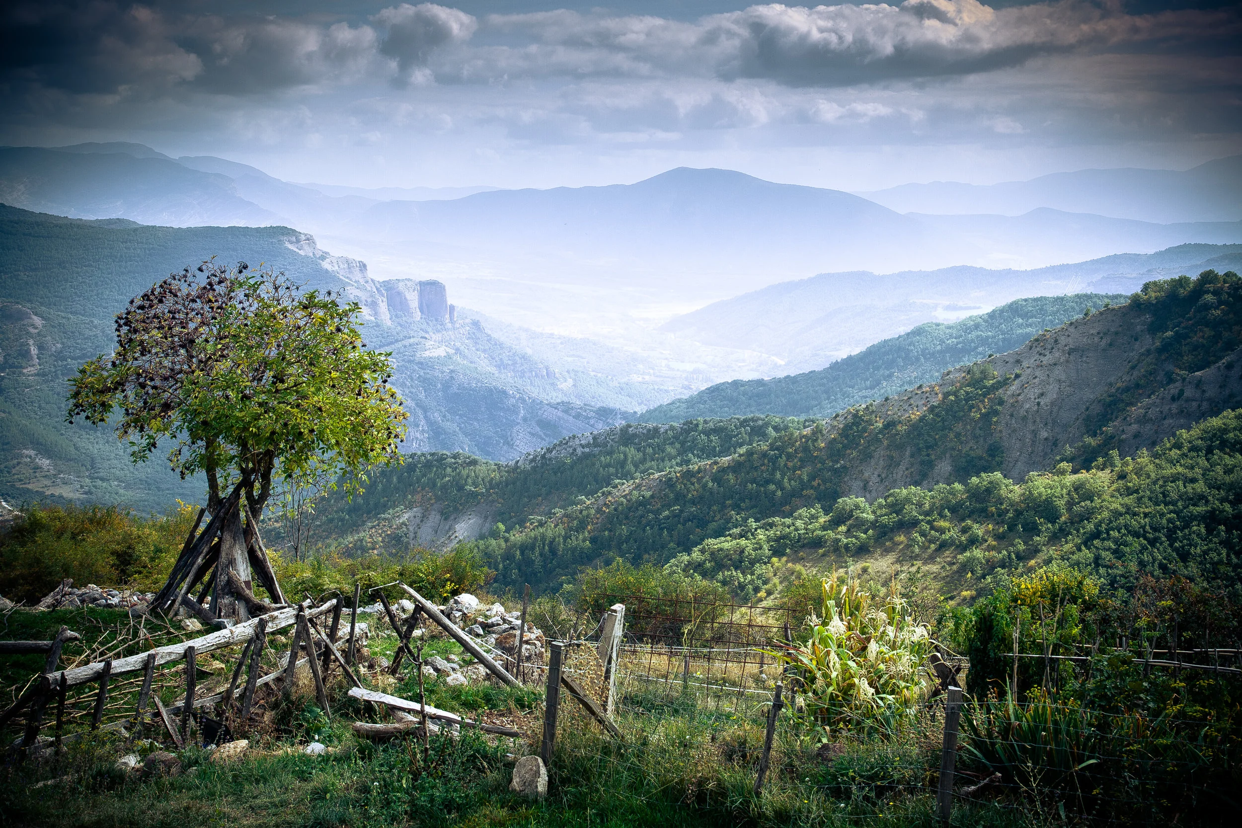 Cervoles misty pobla view view.jpg