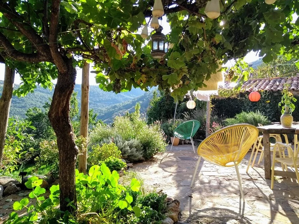 terrace.jpg