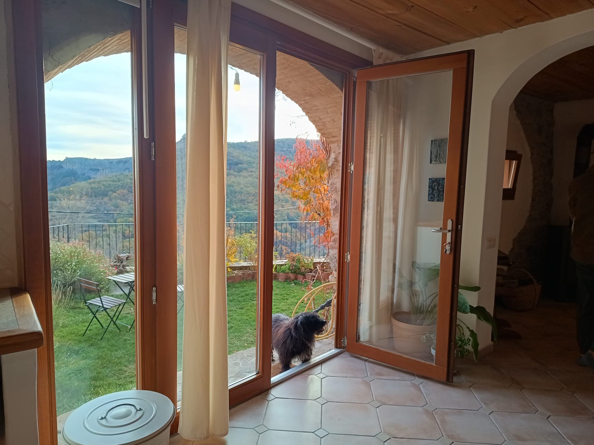 studio view with dog.jpeg