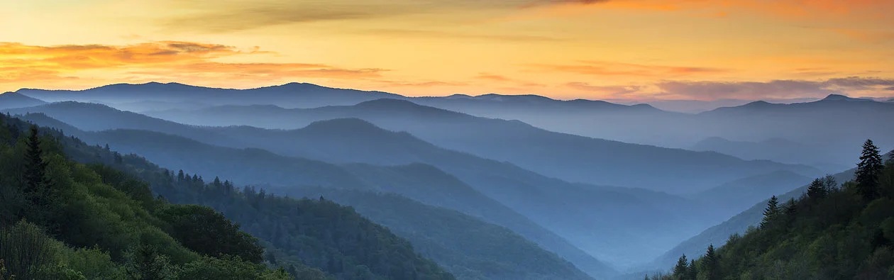 CvilleREA backdrop.jpg