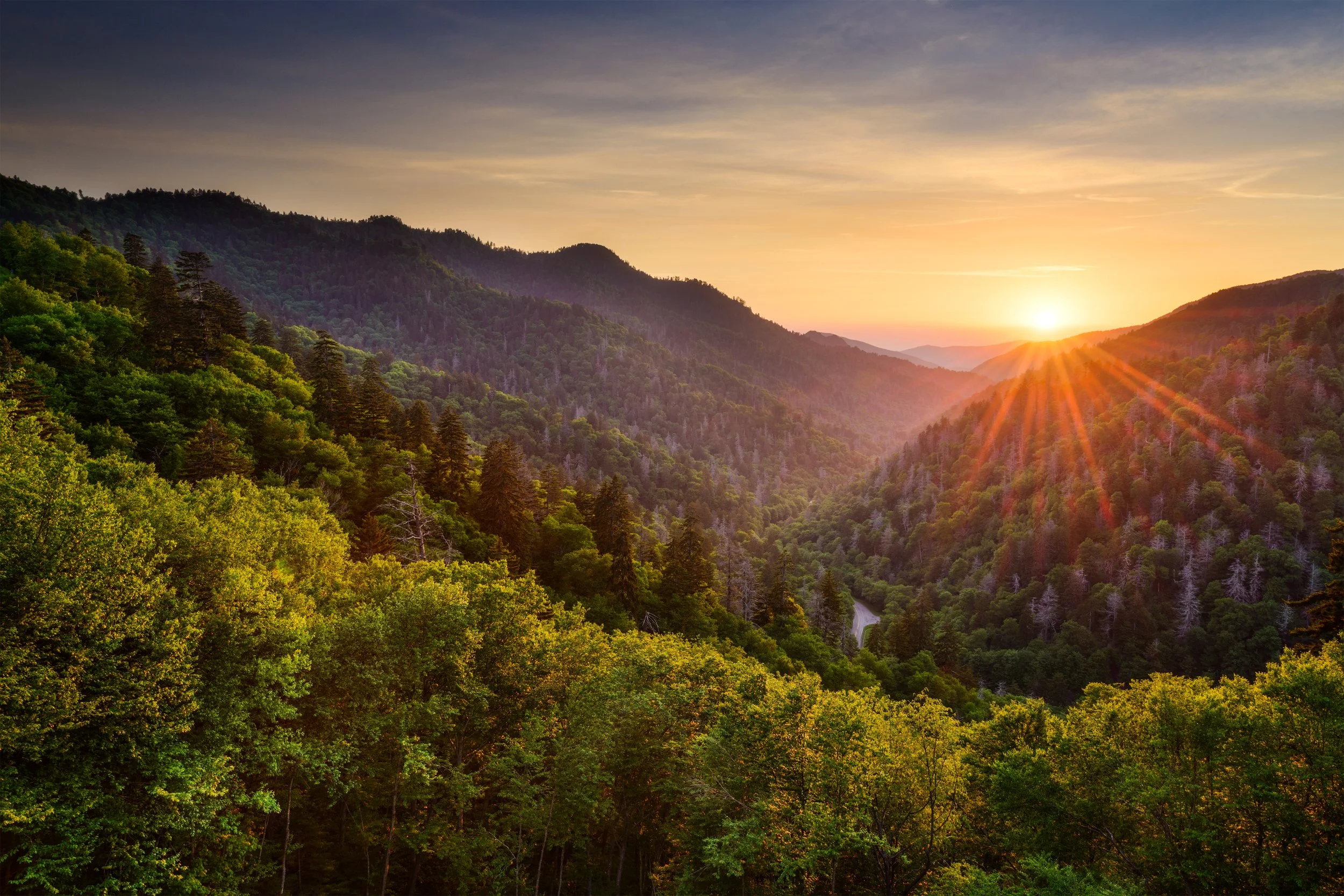 SunriseHexagonHome.jpg