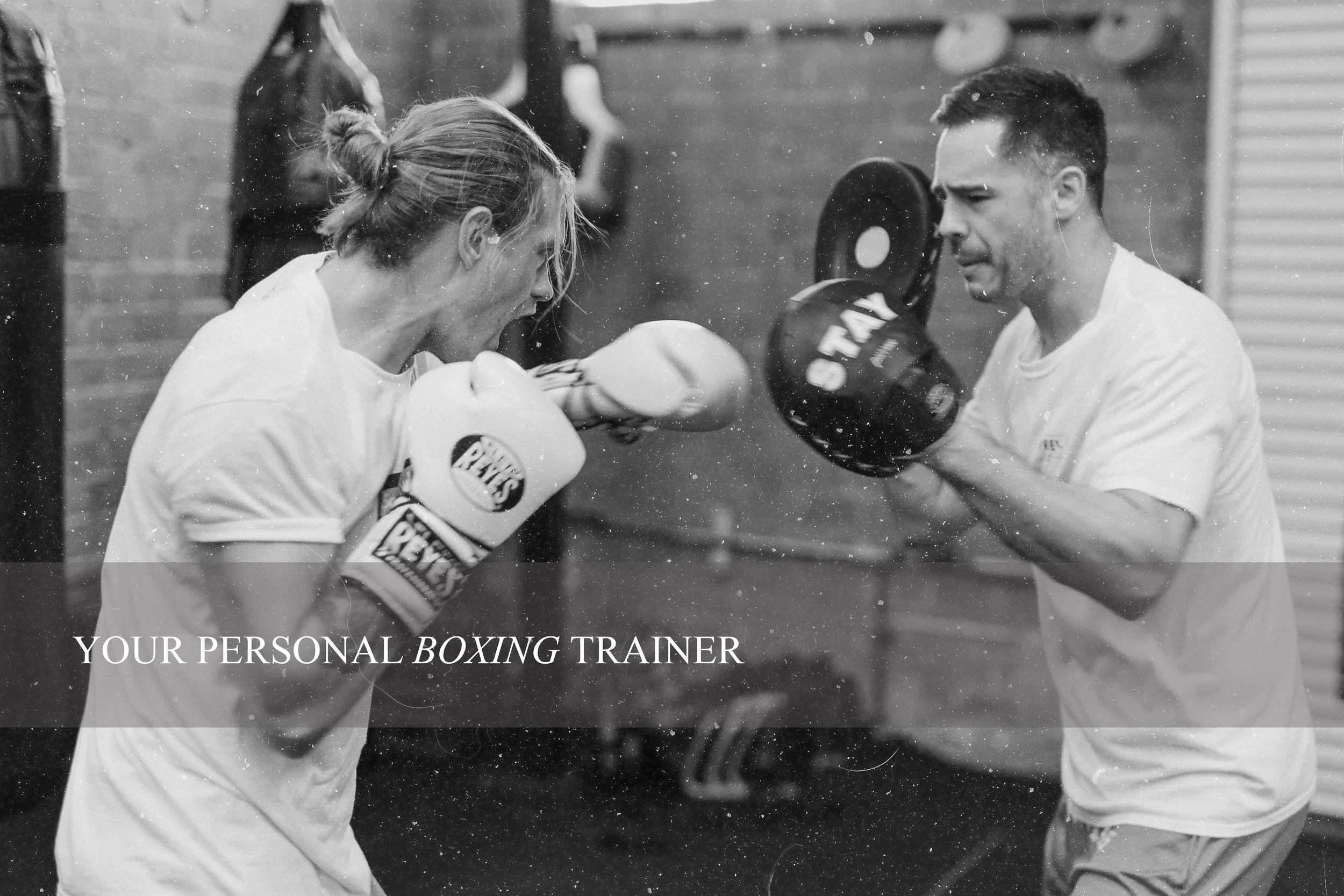 Banners homepage BOXING.jpg