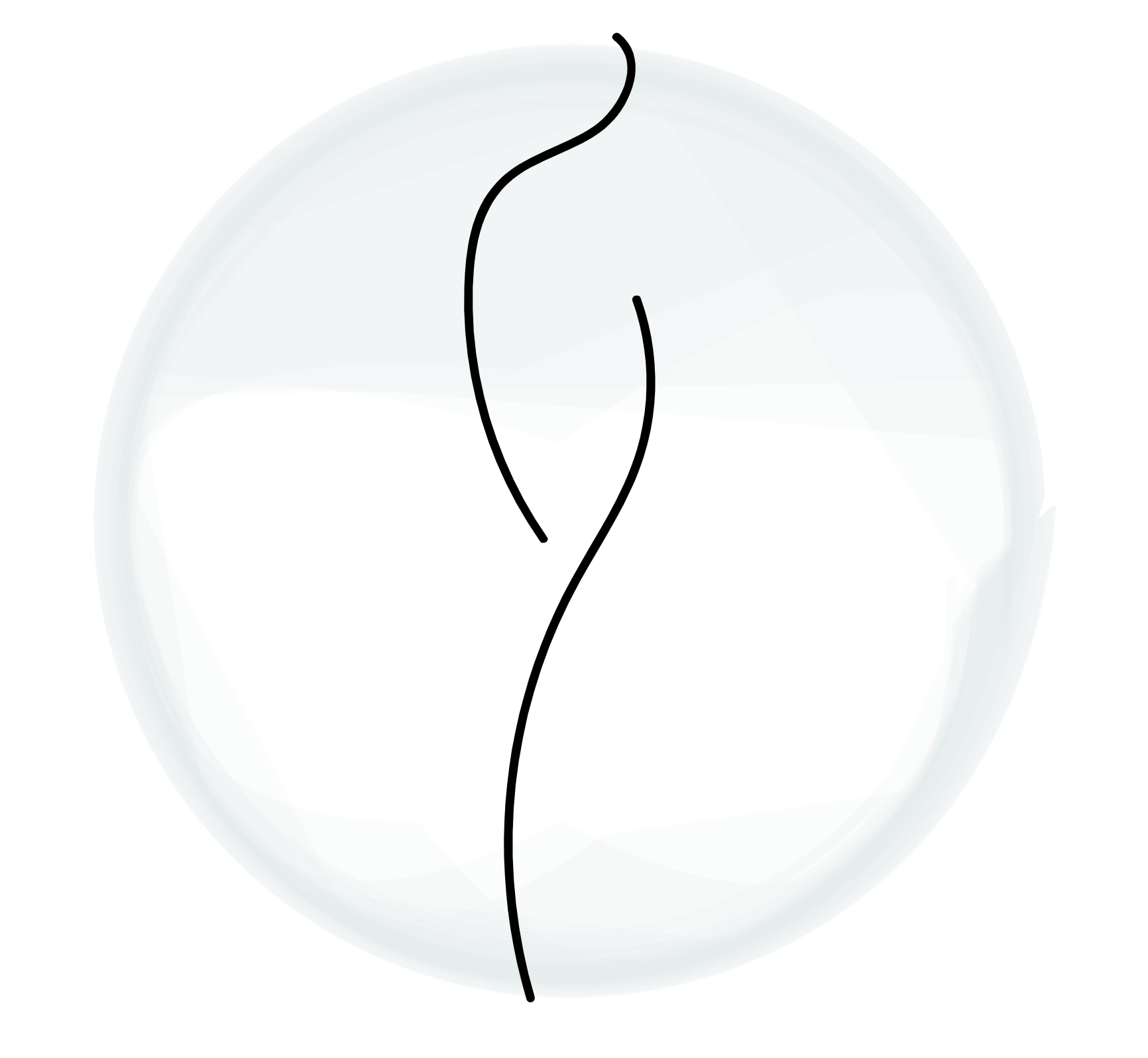 Fysiotherapie personal trainer apeldoorn