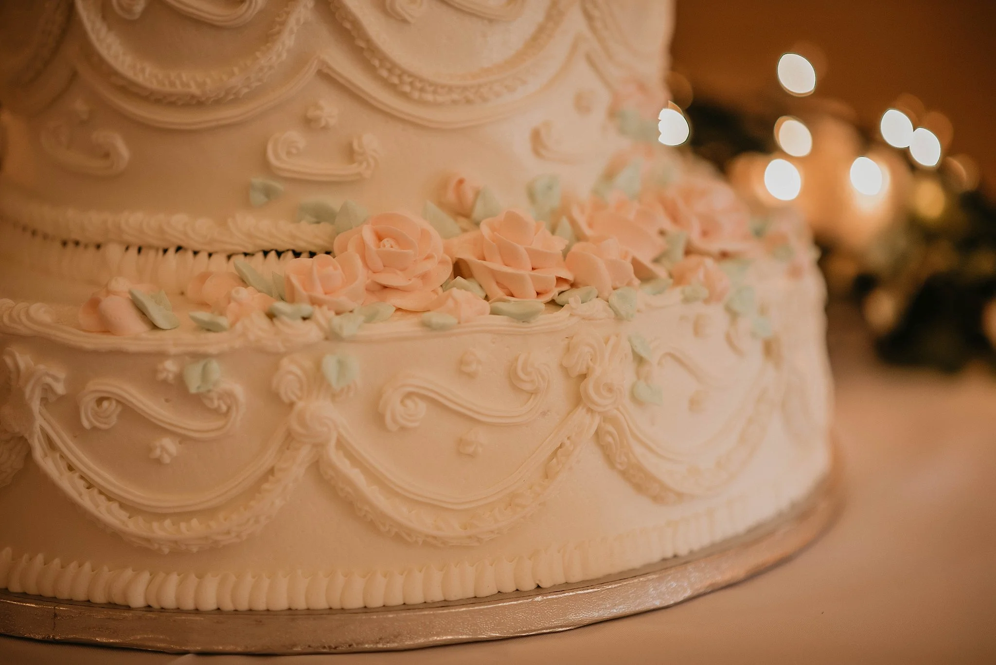 ogletree-estates-georgia-toccoa-falls-wedding_0096.jpg