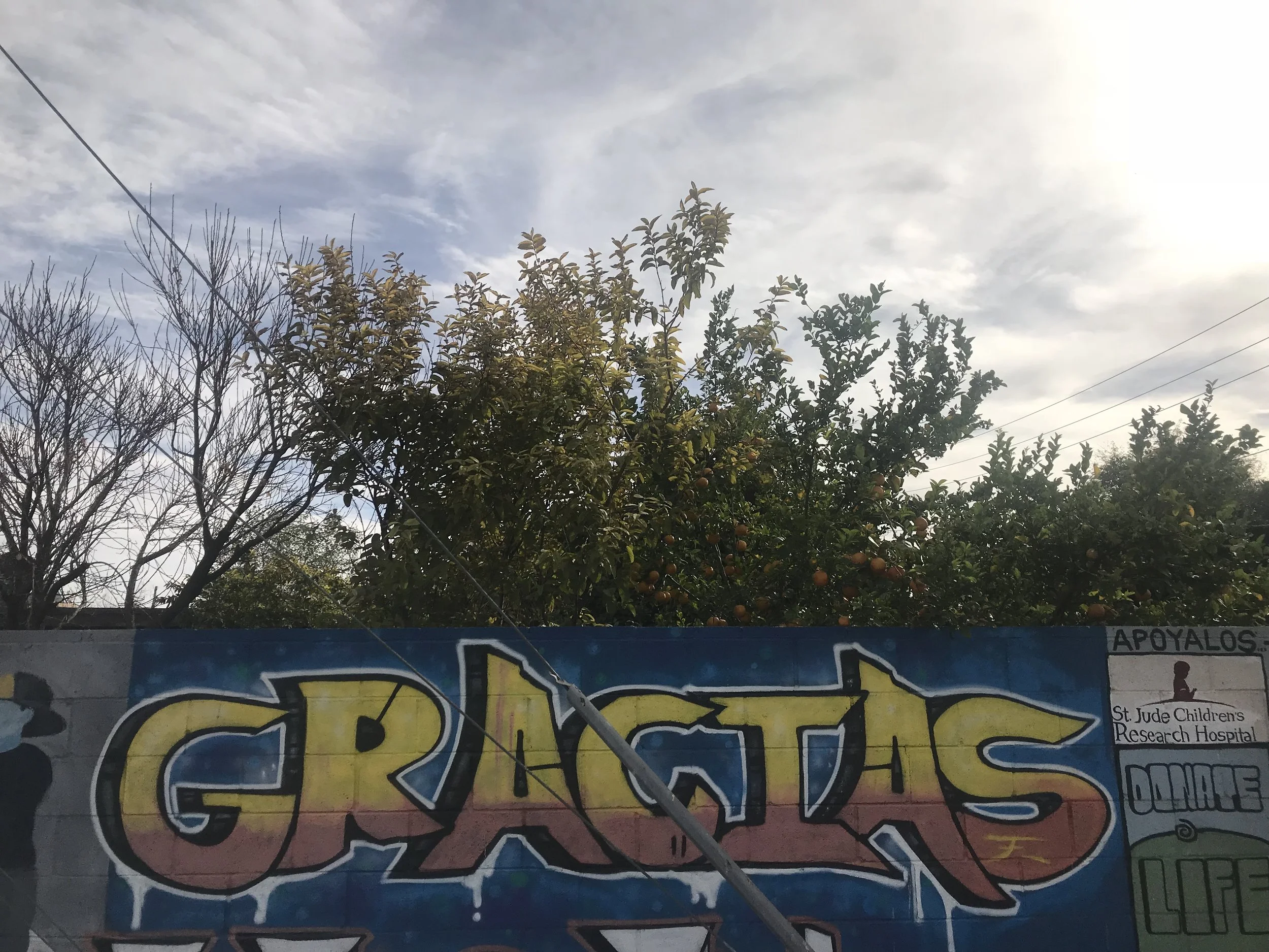 Gracias.jpg