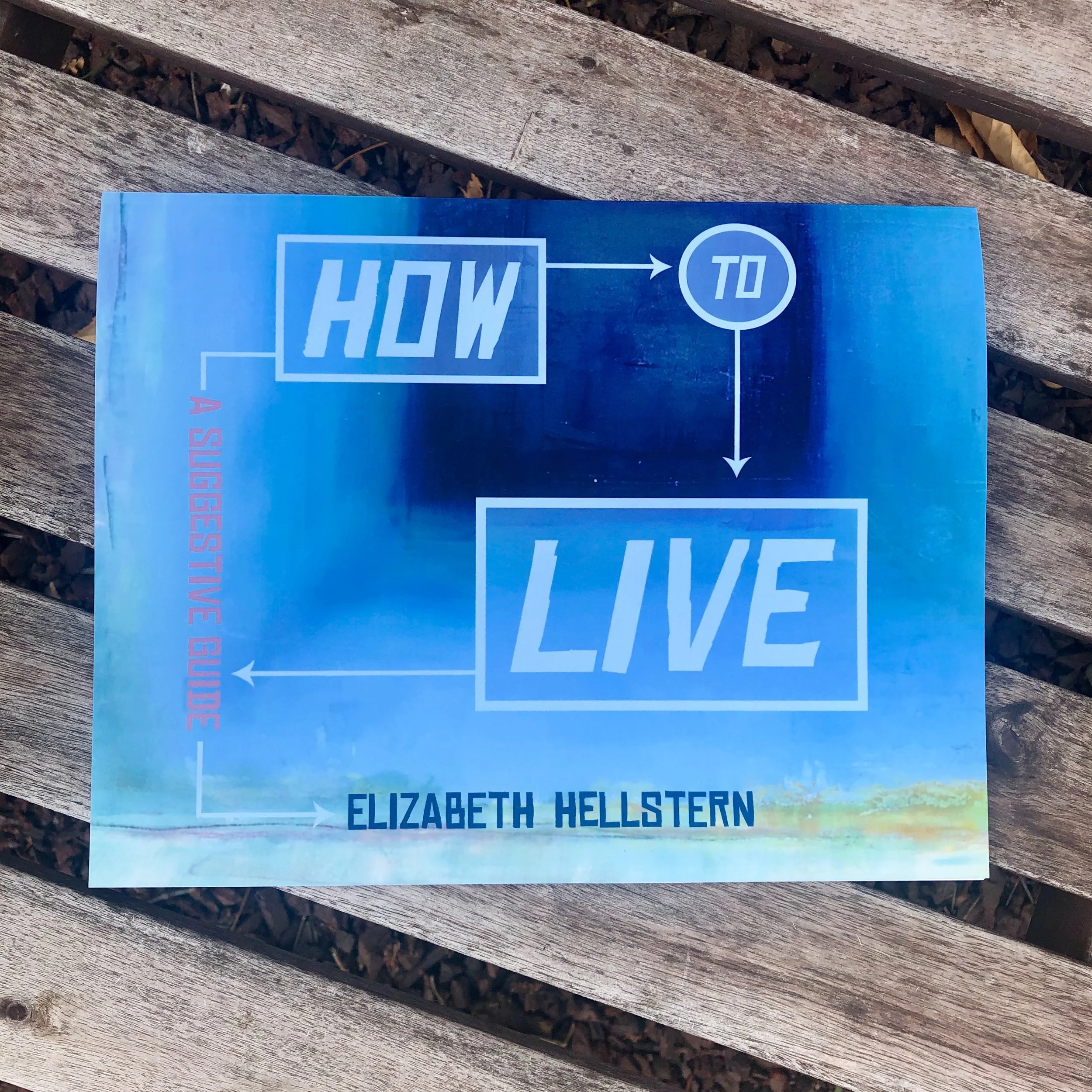 How to Live: A Suggestive Guide