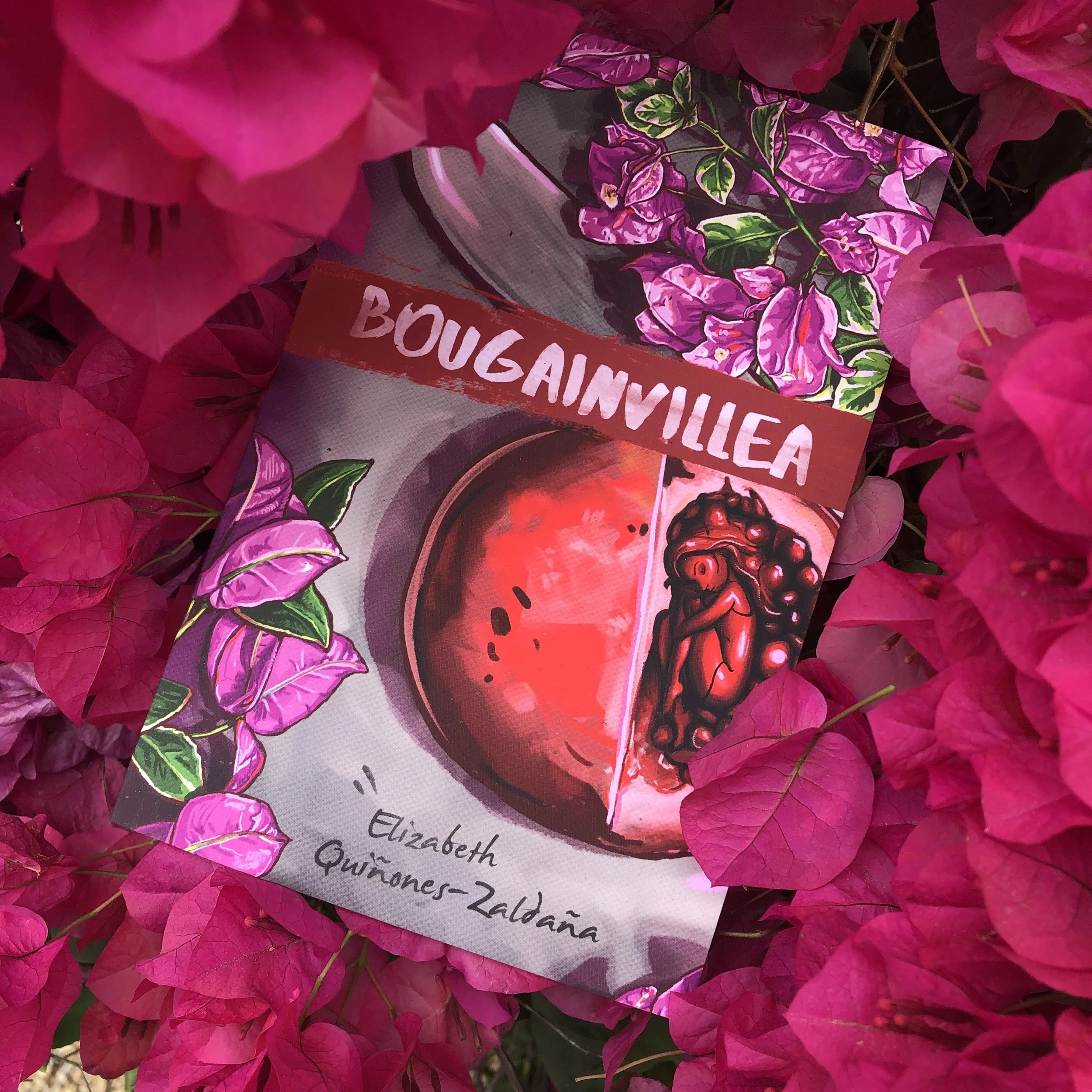 Bougainvillea