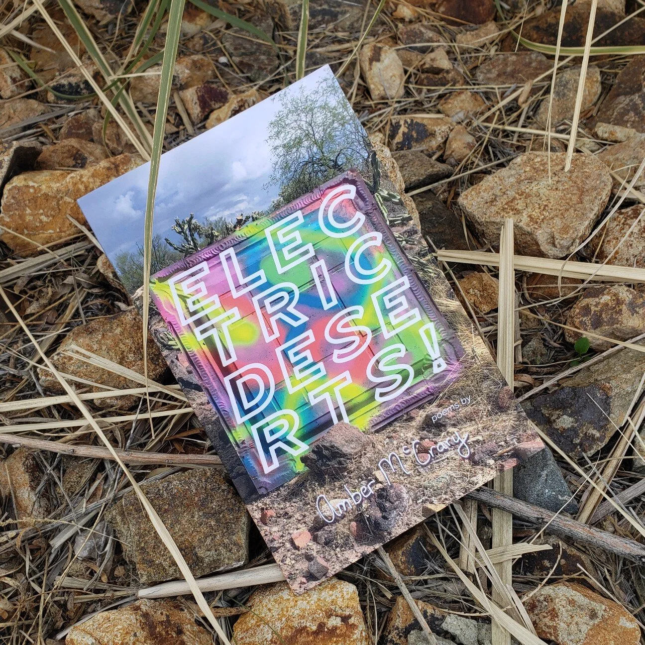 Electric Deserts