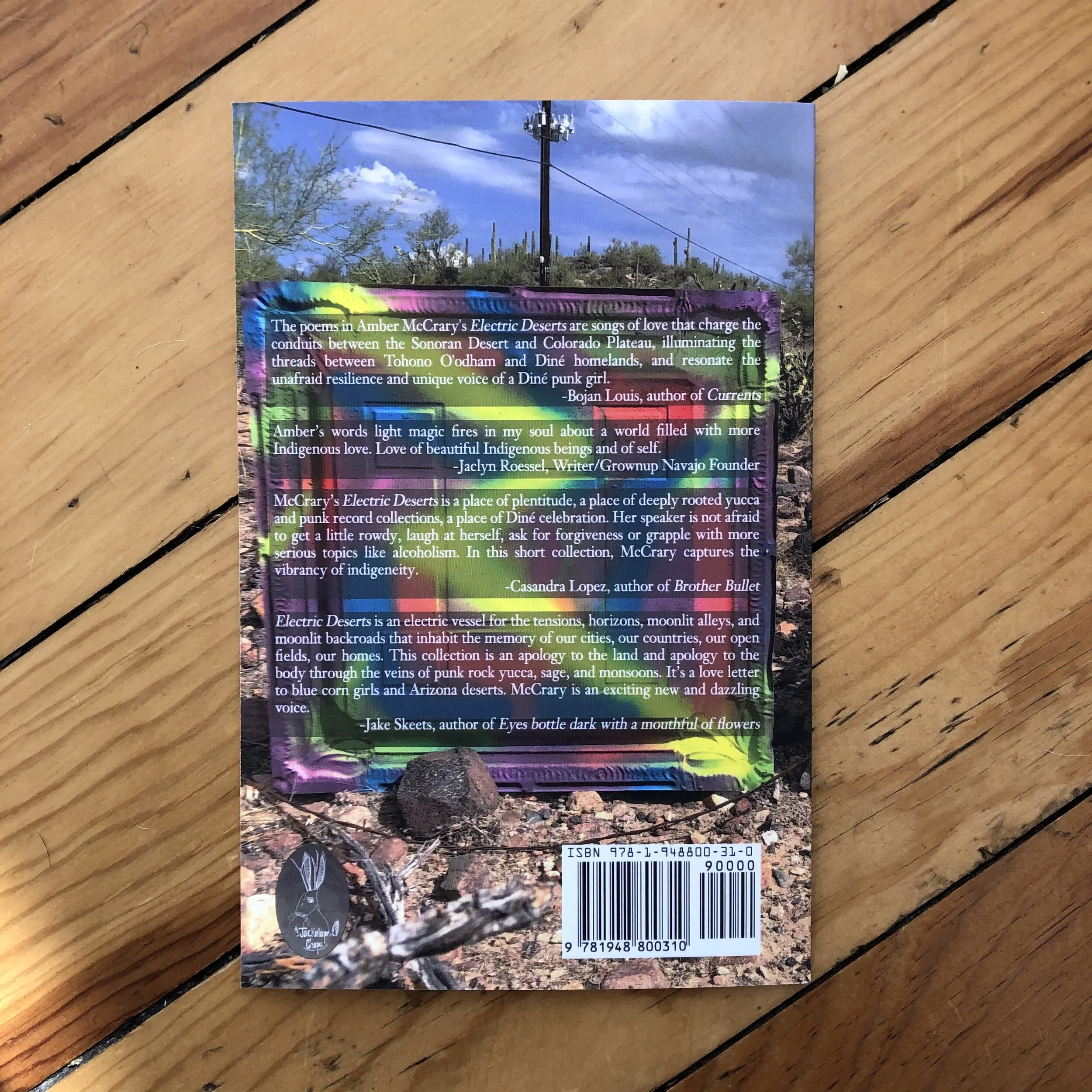 Back Cover.jpg