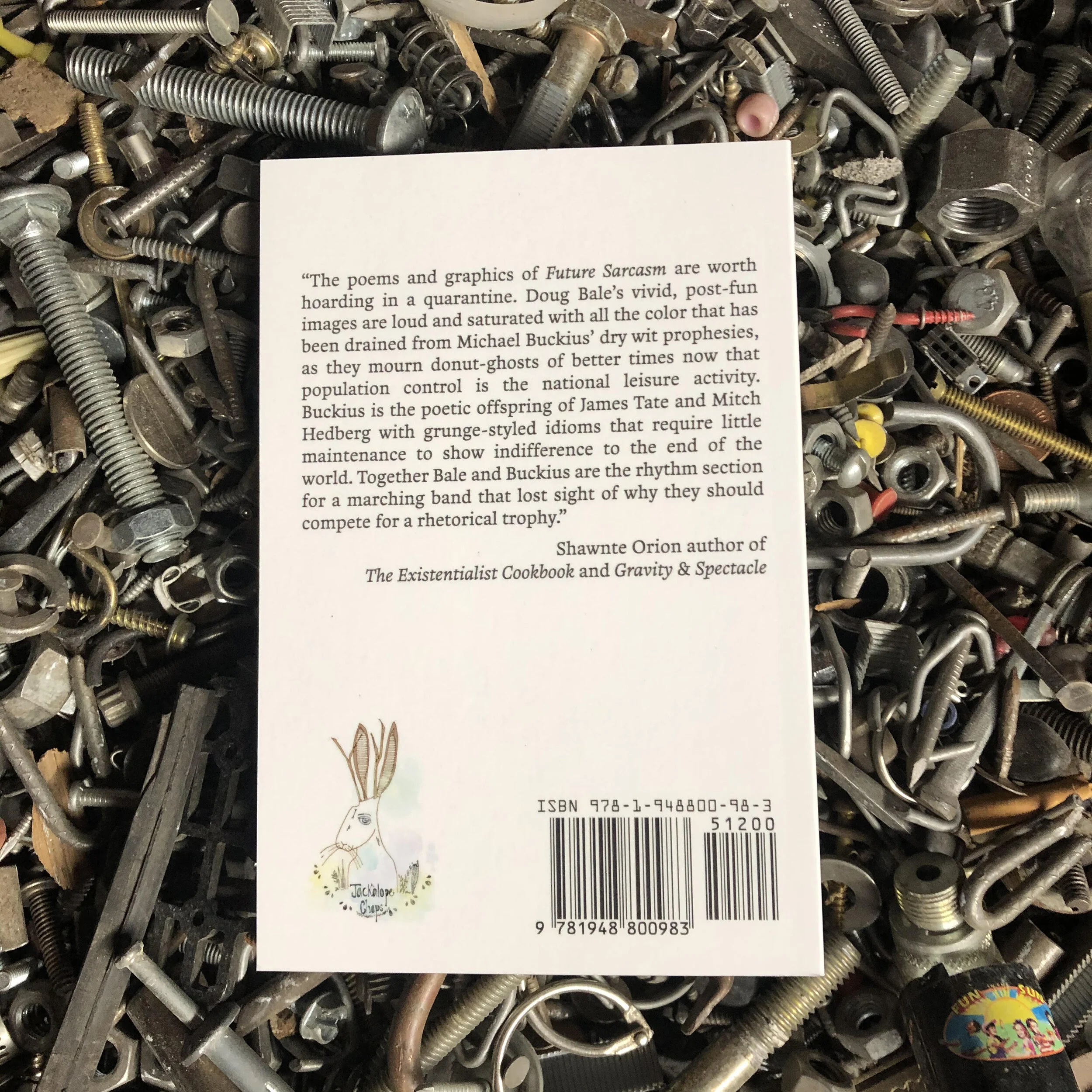Future Sarcasm - Back Cover Promo.jpg