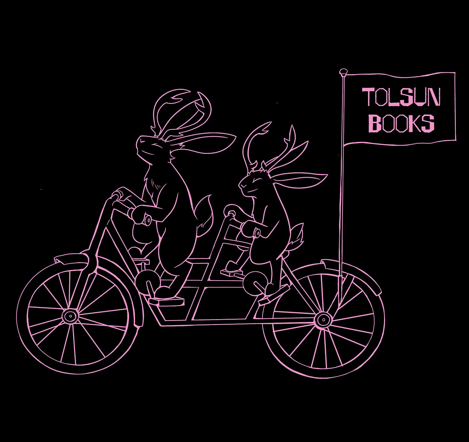 tolsun tandem bike black.jpg