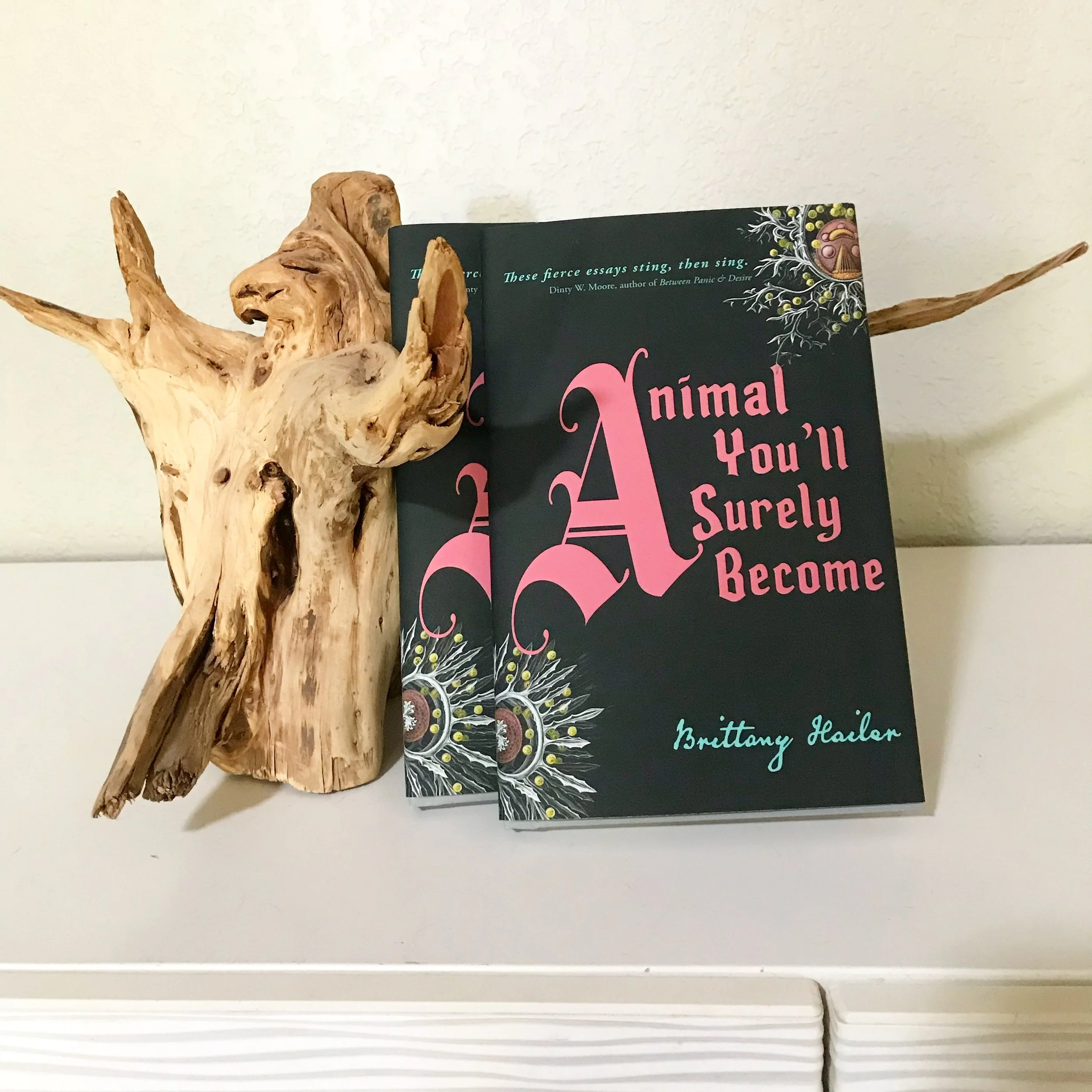 Animal Thumbnail.JPG