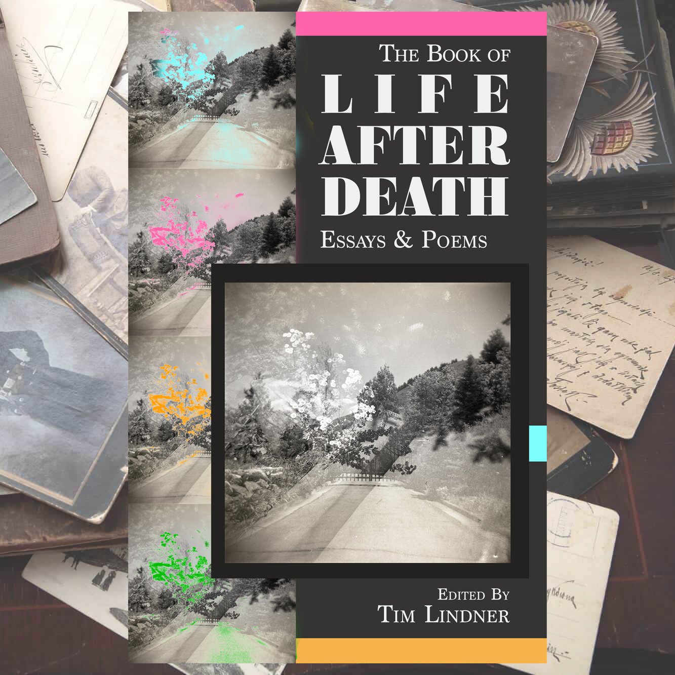 The Book of Life After Death: Essays & Poems