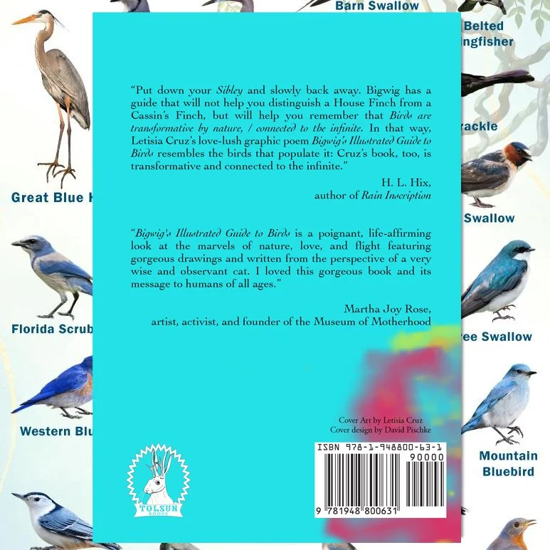 Bigwig Back Cover Promo.jpg