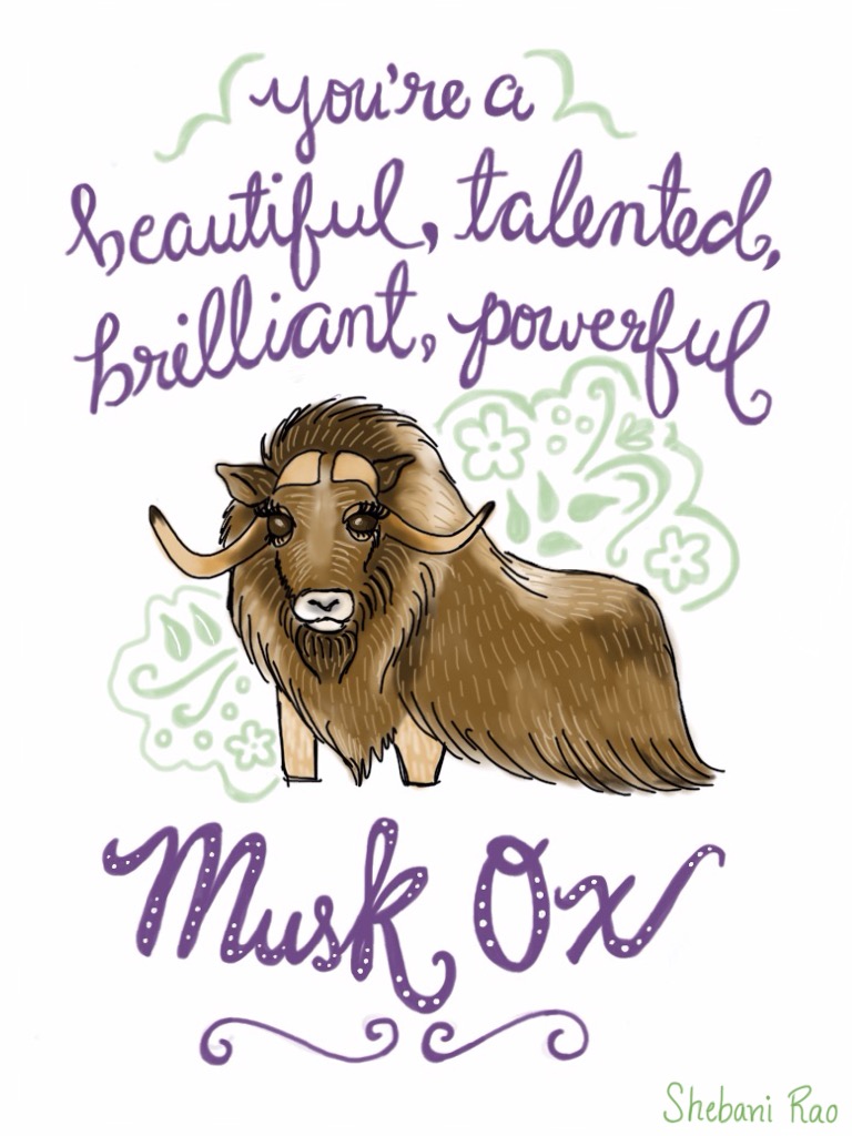 musk ox signed.JPG