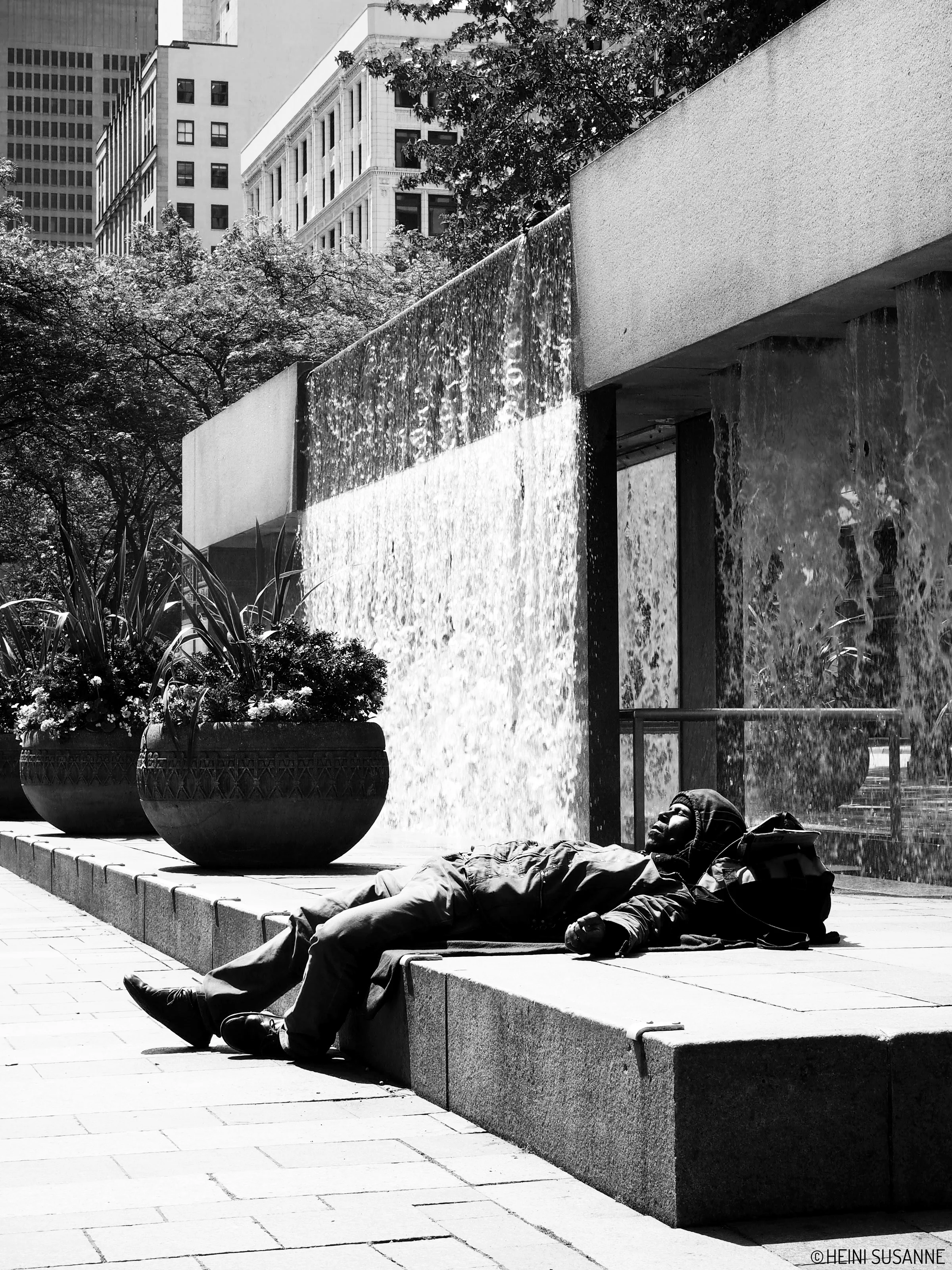 Fallen ©.jpg