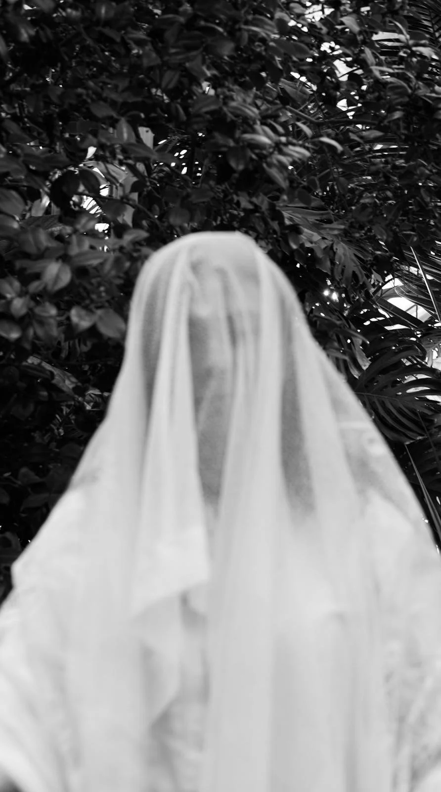 WhatsApp Image 2025-12-09 at 4.25.52 PM (2).jpeg