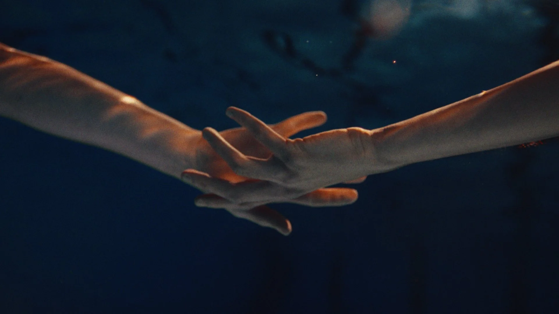 Graded stills_1.1.20.jpg