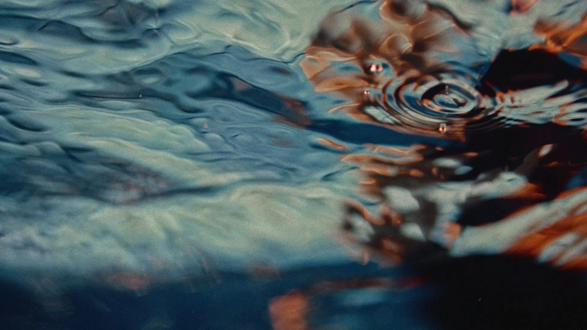 Graded stills_1.1.22.jpg